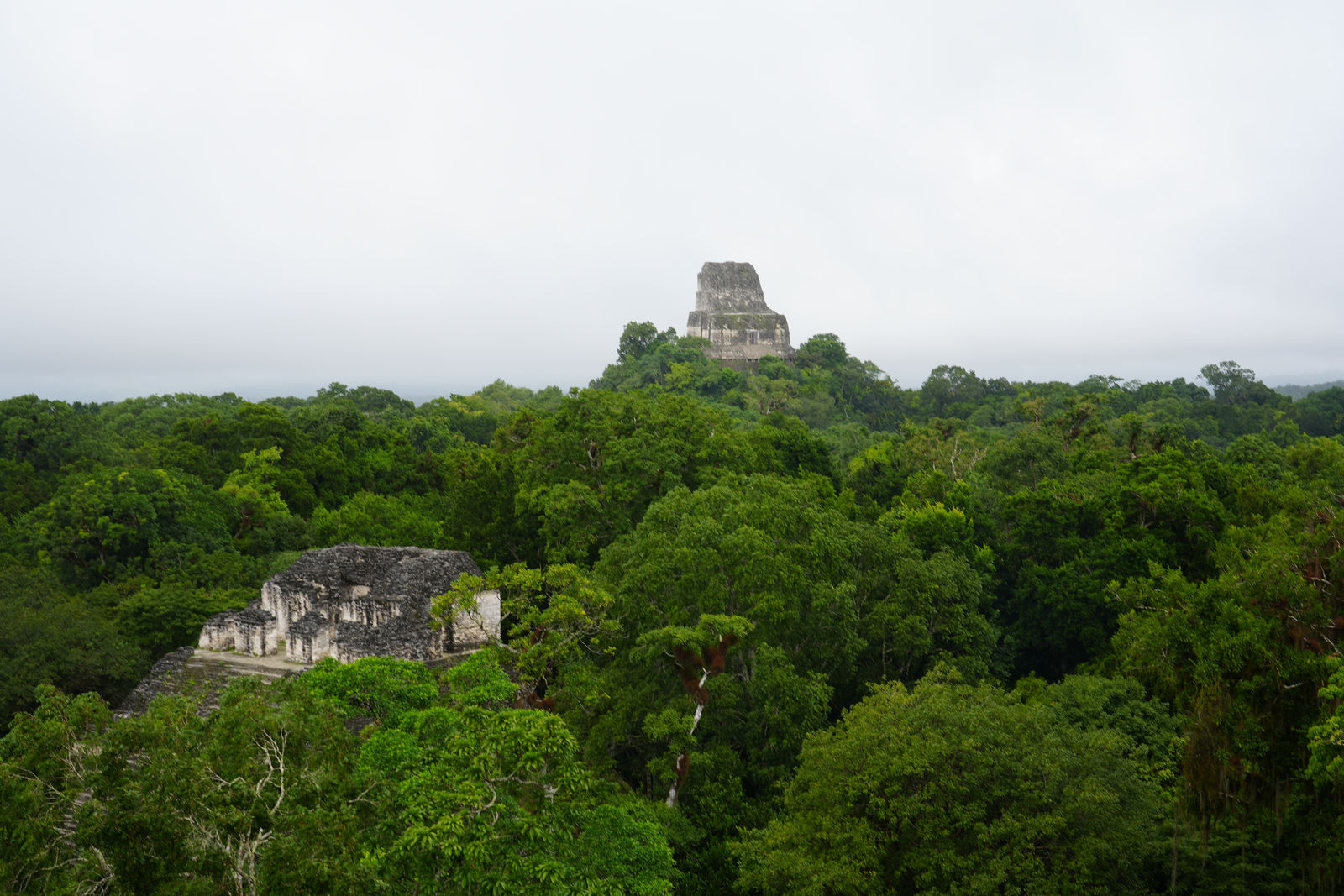 Tikal Ruins