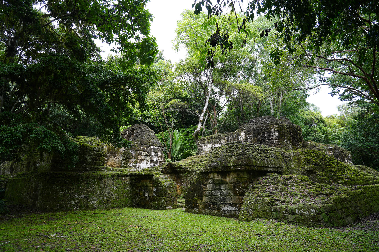 Tikal Ruins