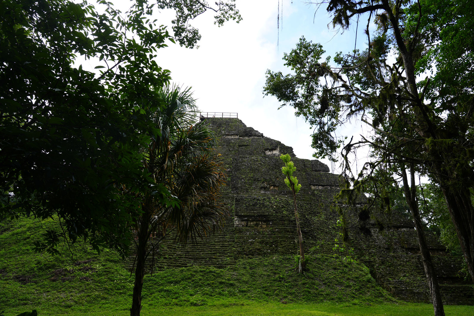 Tikal Ruins