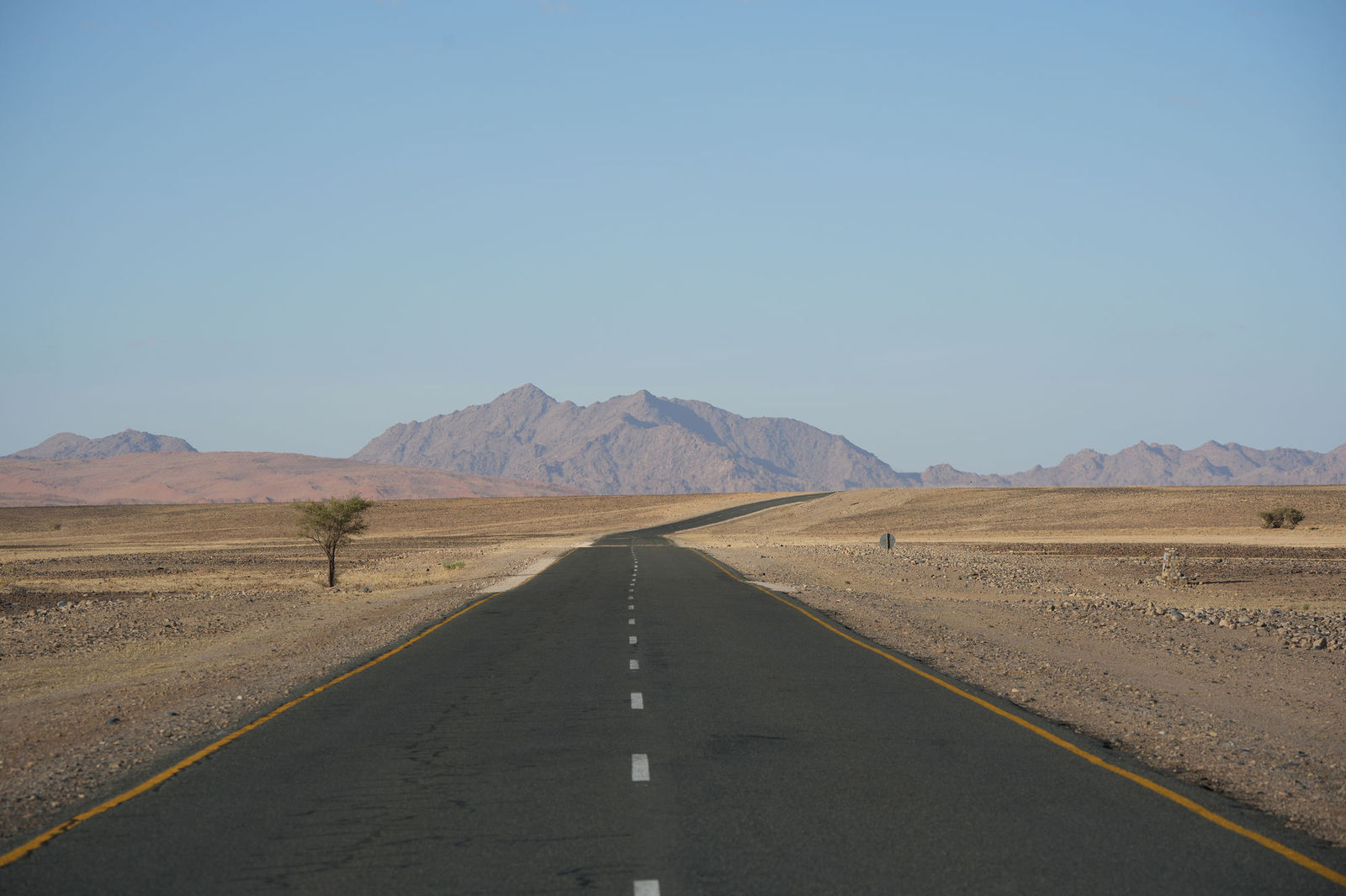 Road to Dune