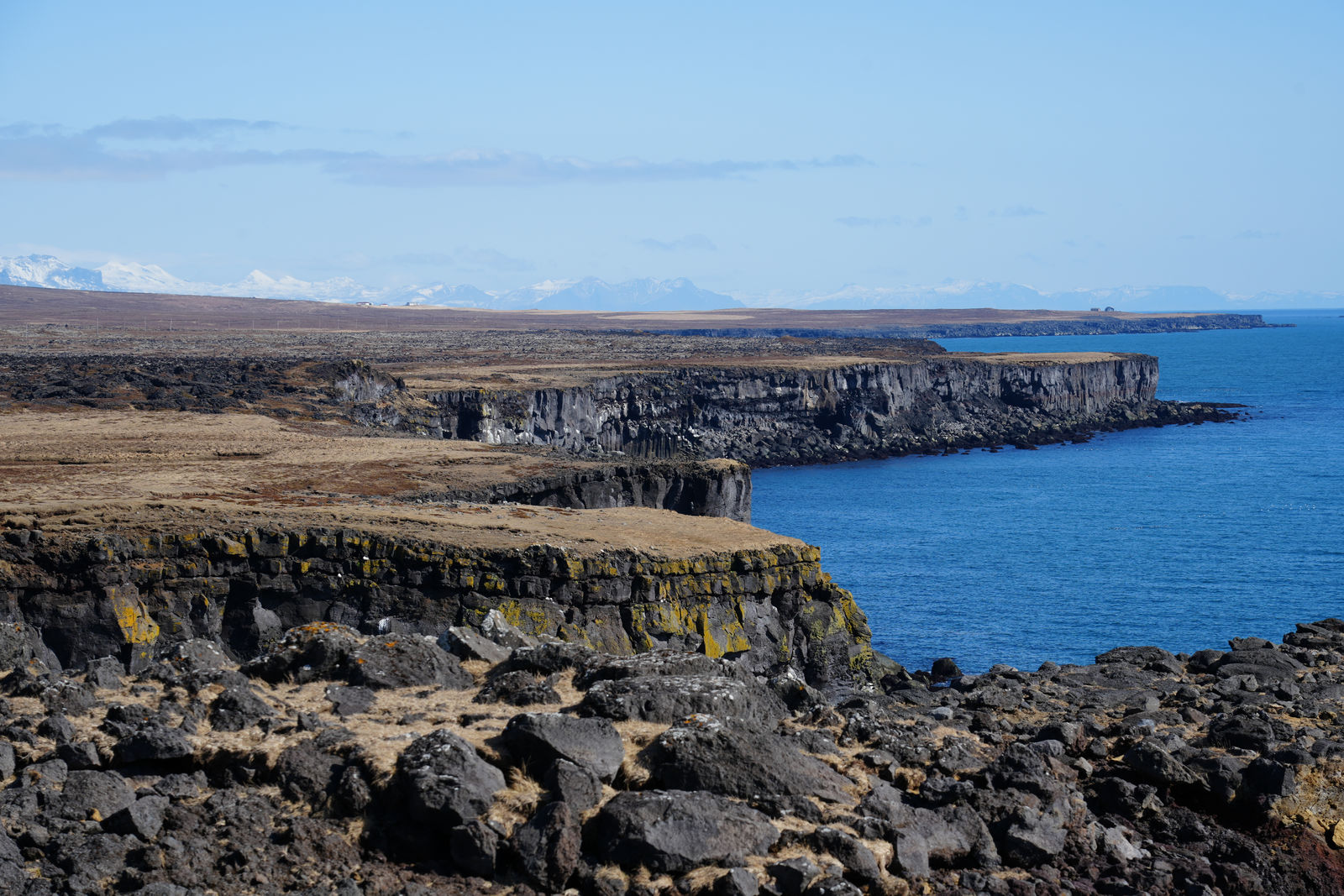 Arnarstapi Coastal Cliffs