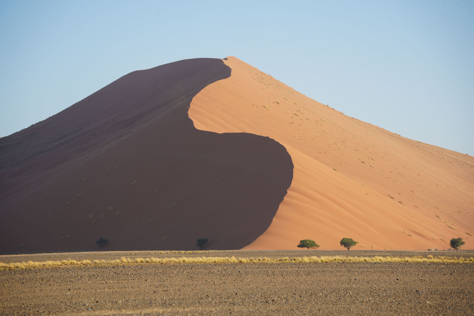 Dune