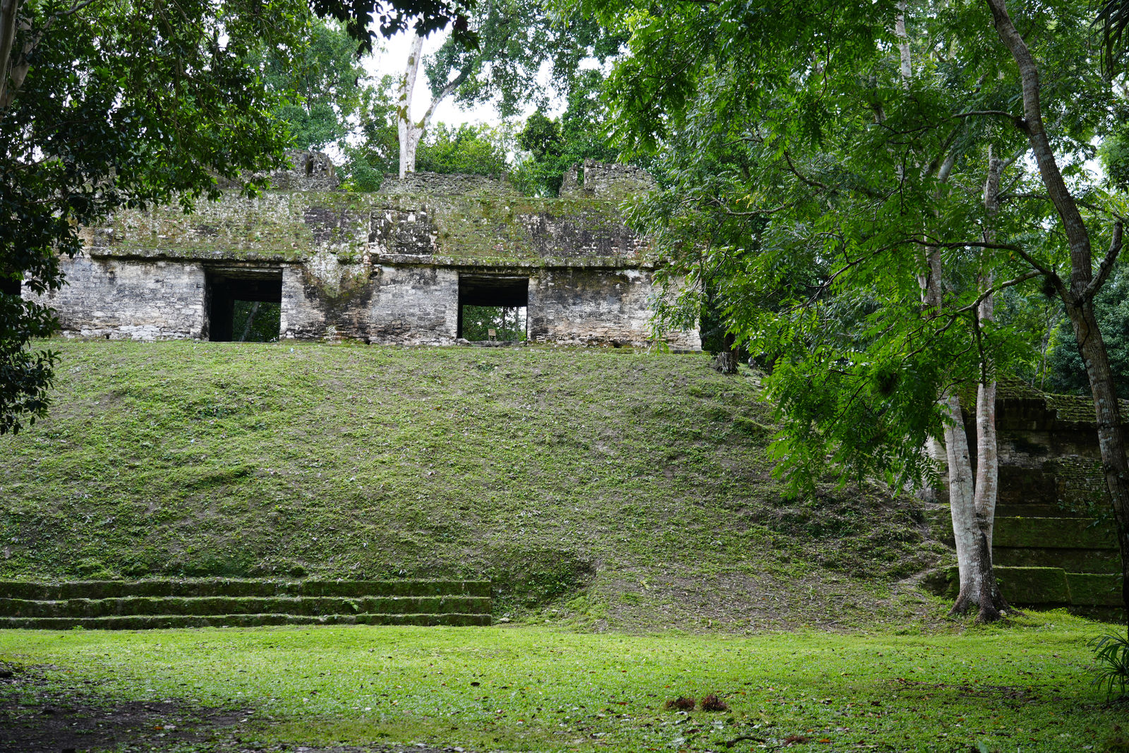 Tikal Ruins
