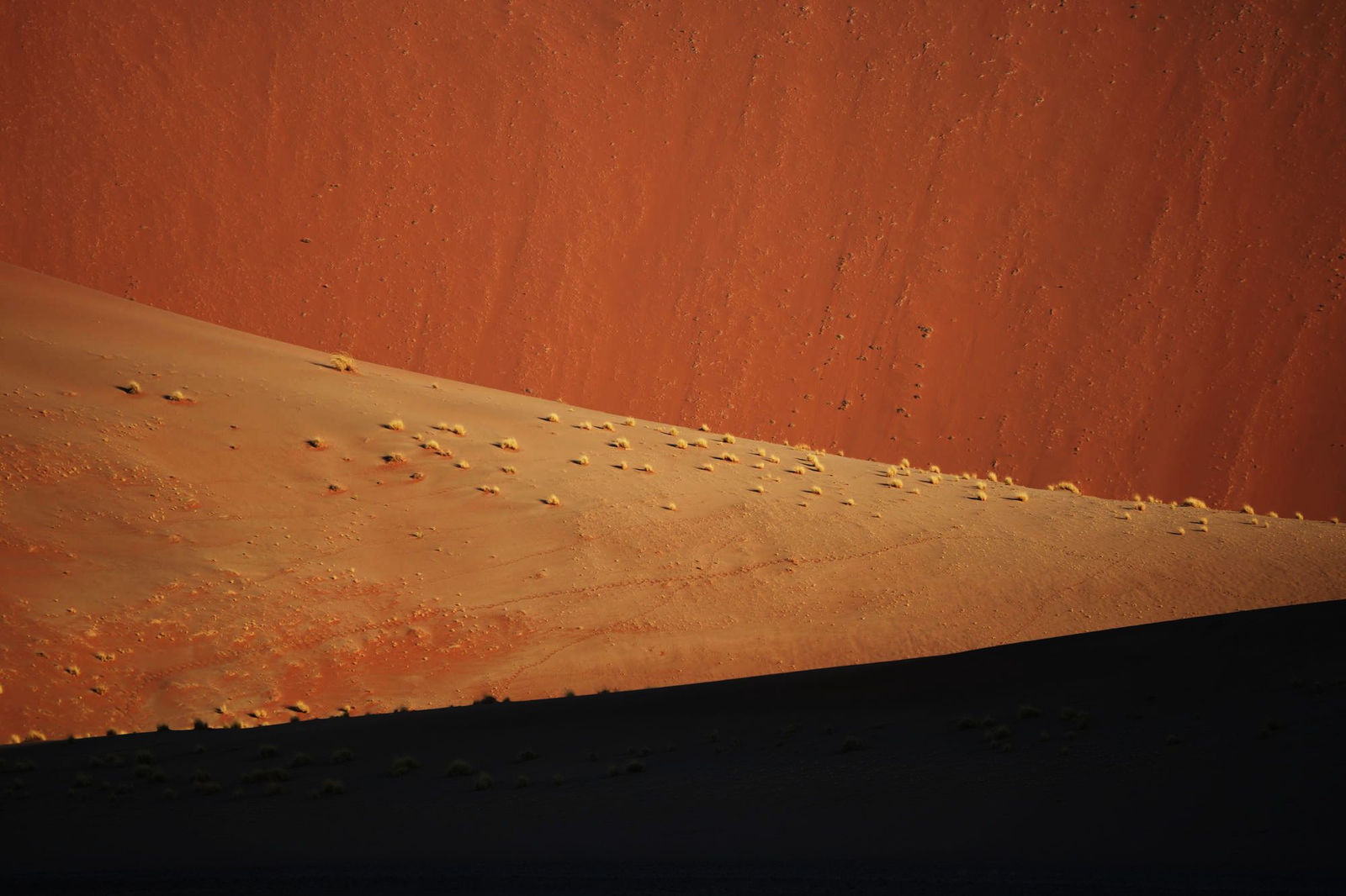 Dune 45