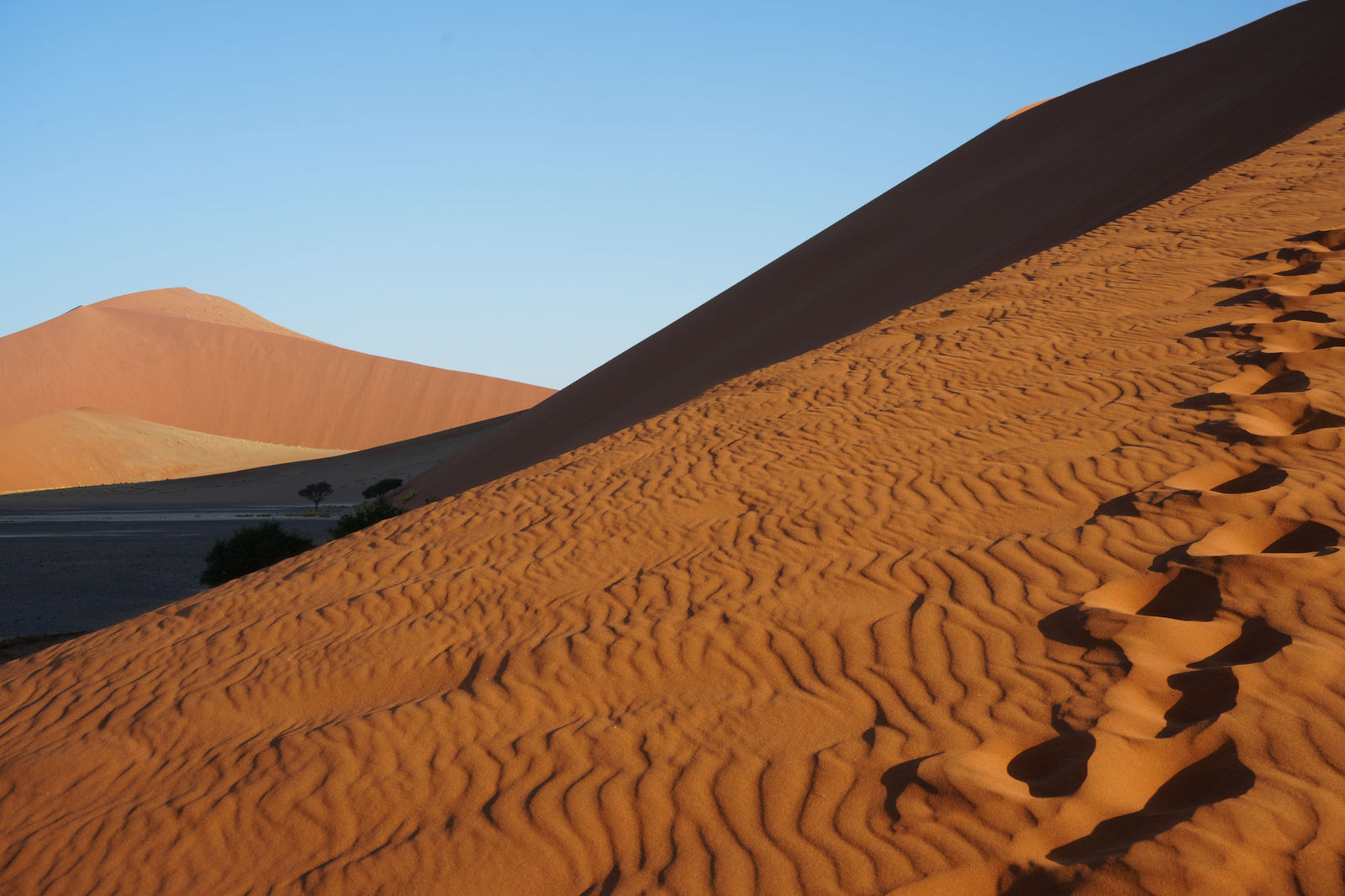 Dune 45
