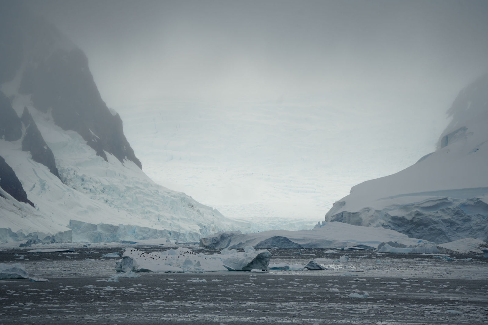 Iceberg