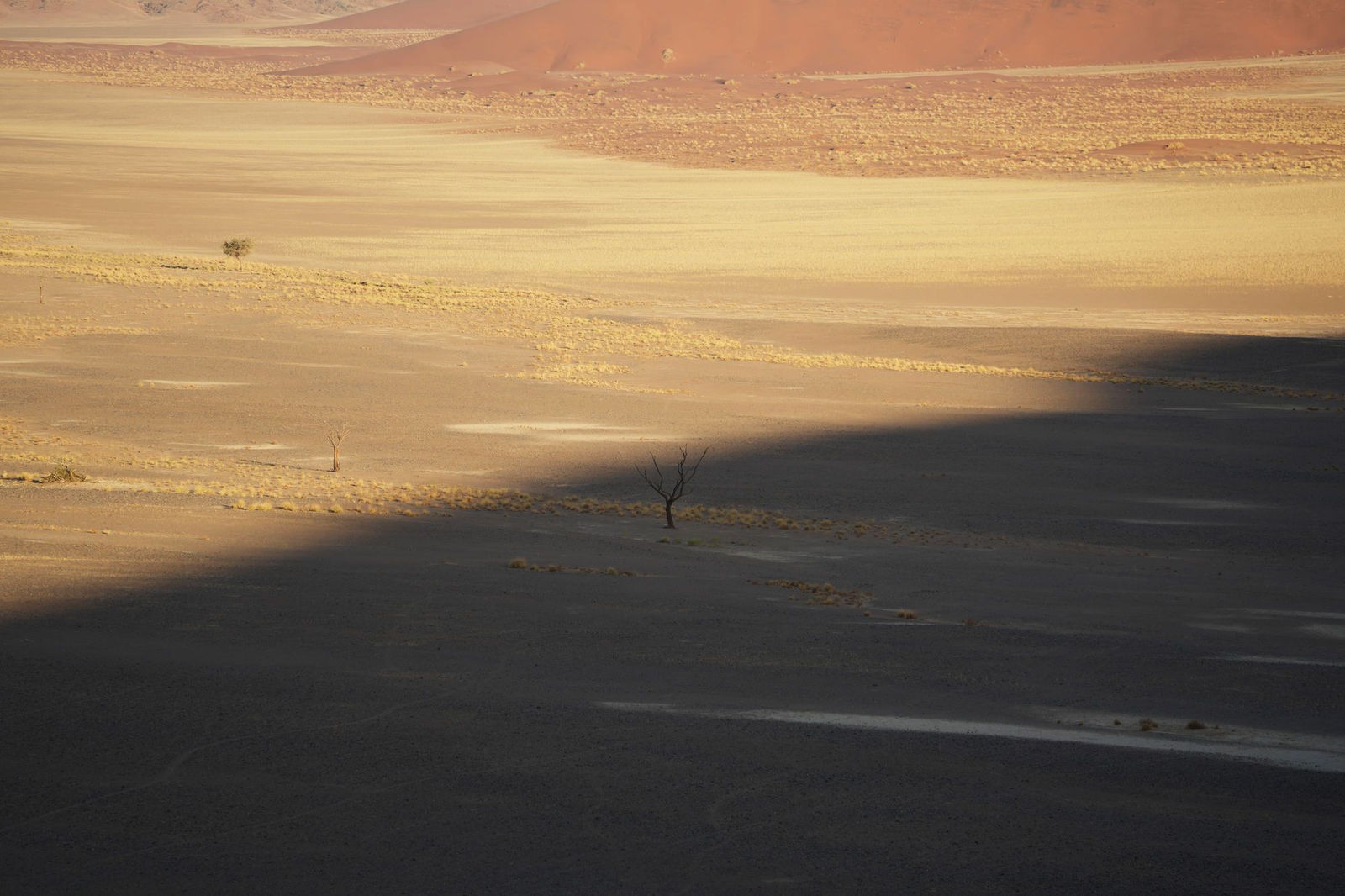 Desert