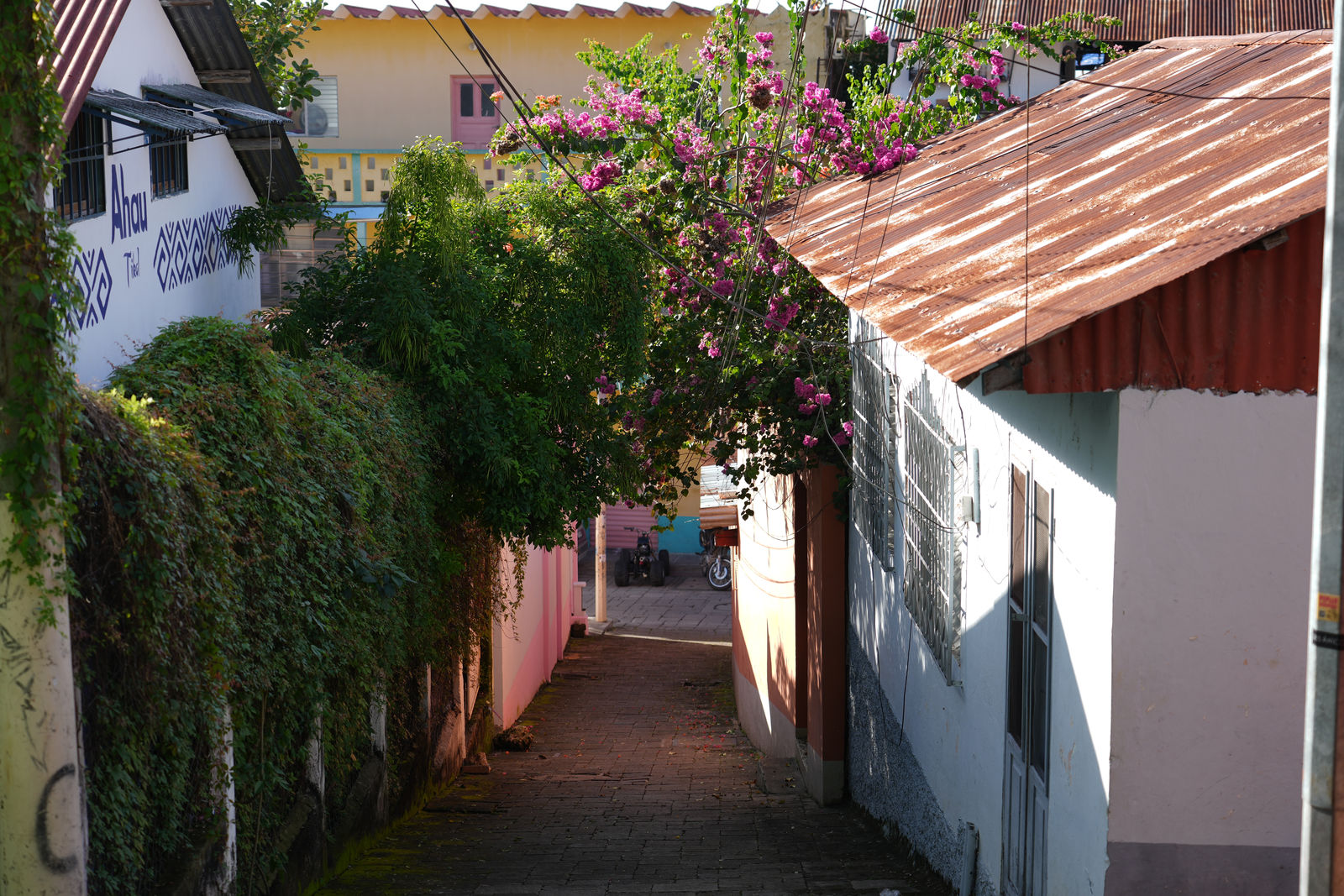 Flores Island