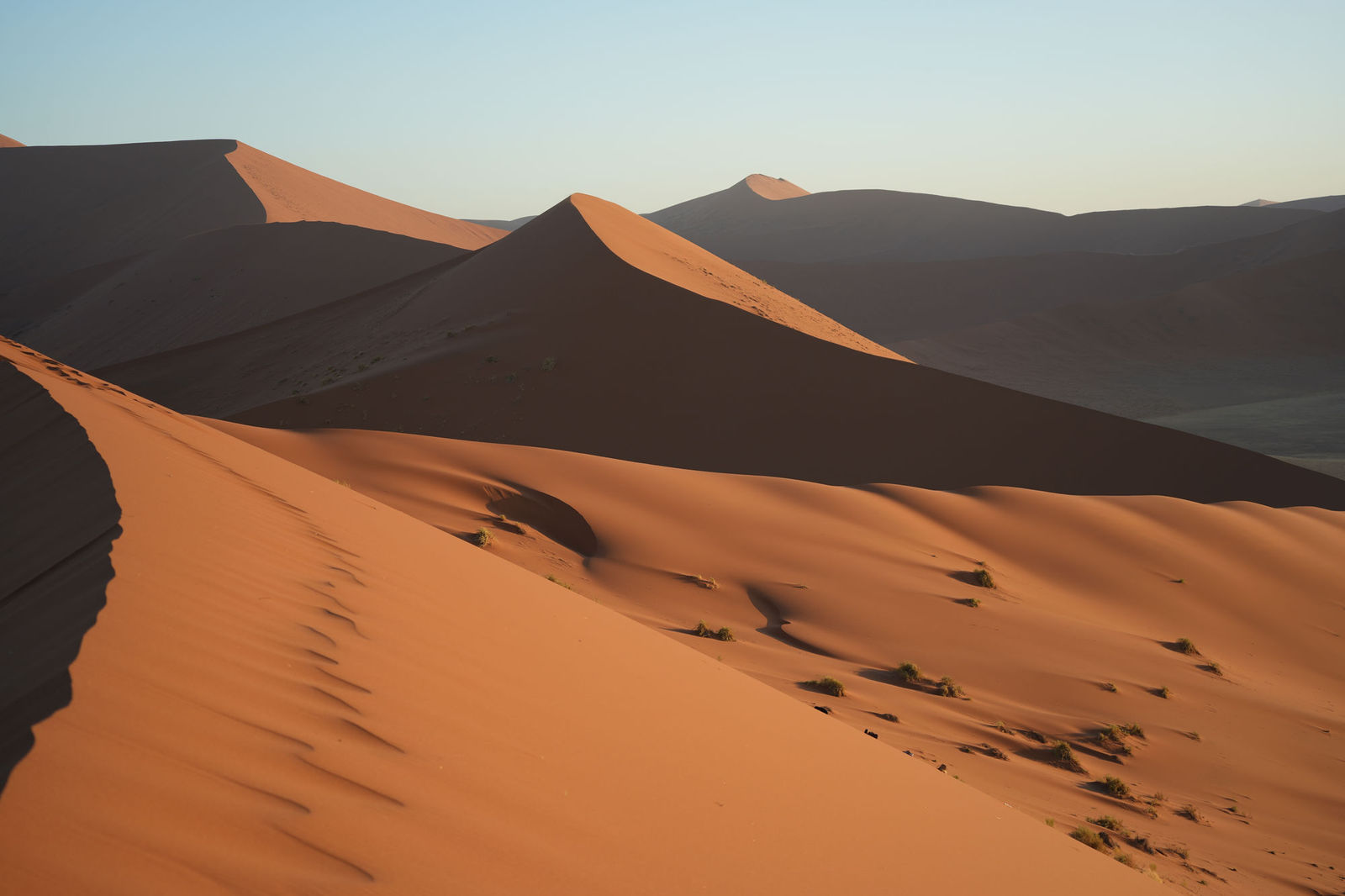 Dune 45