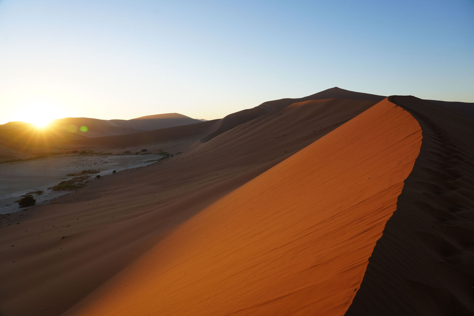 Big Daddy Dune
