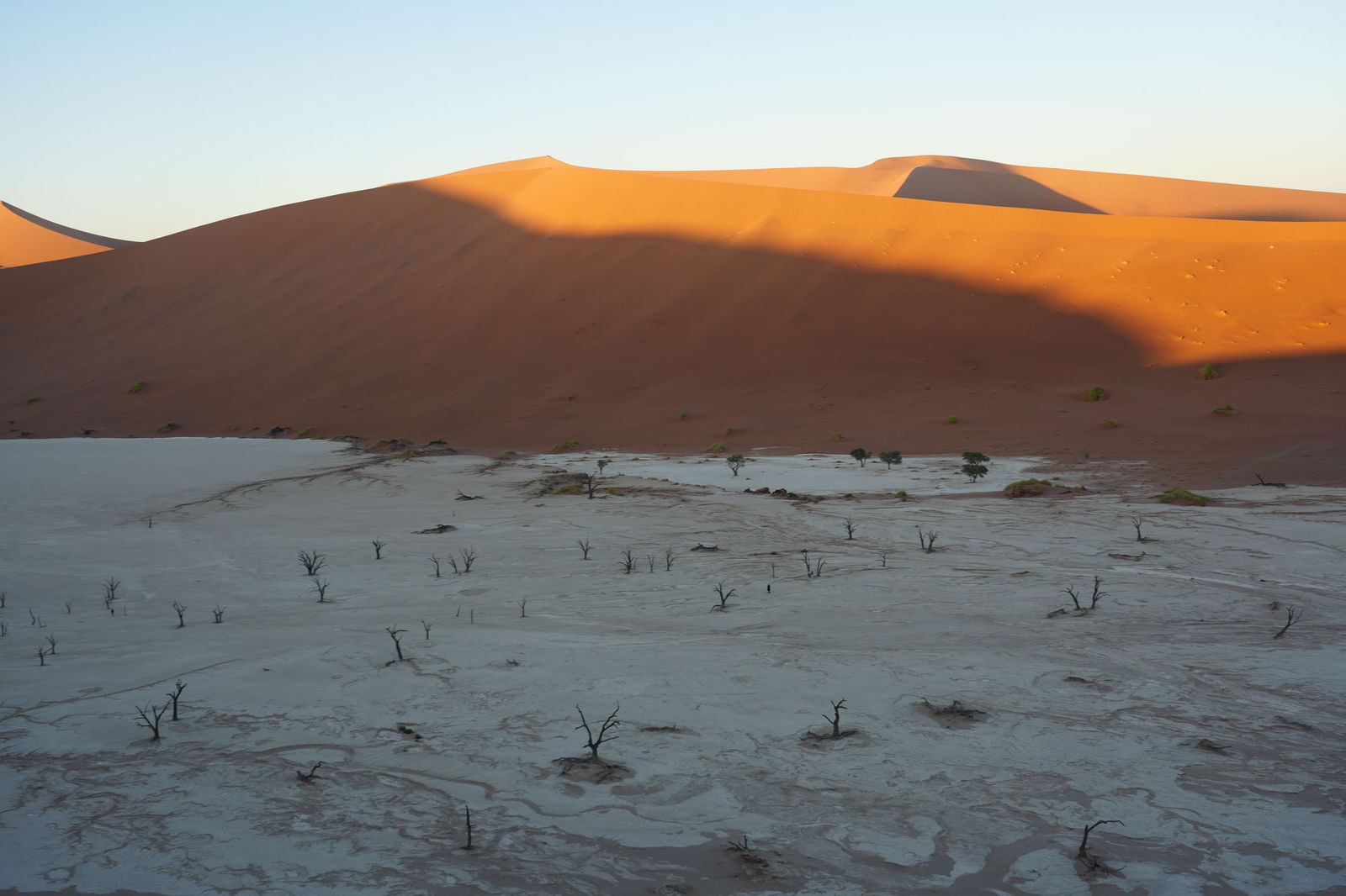 Deadvlei
