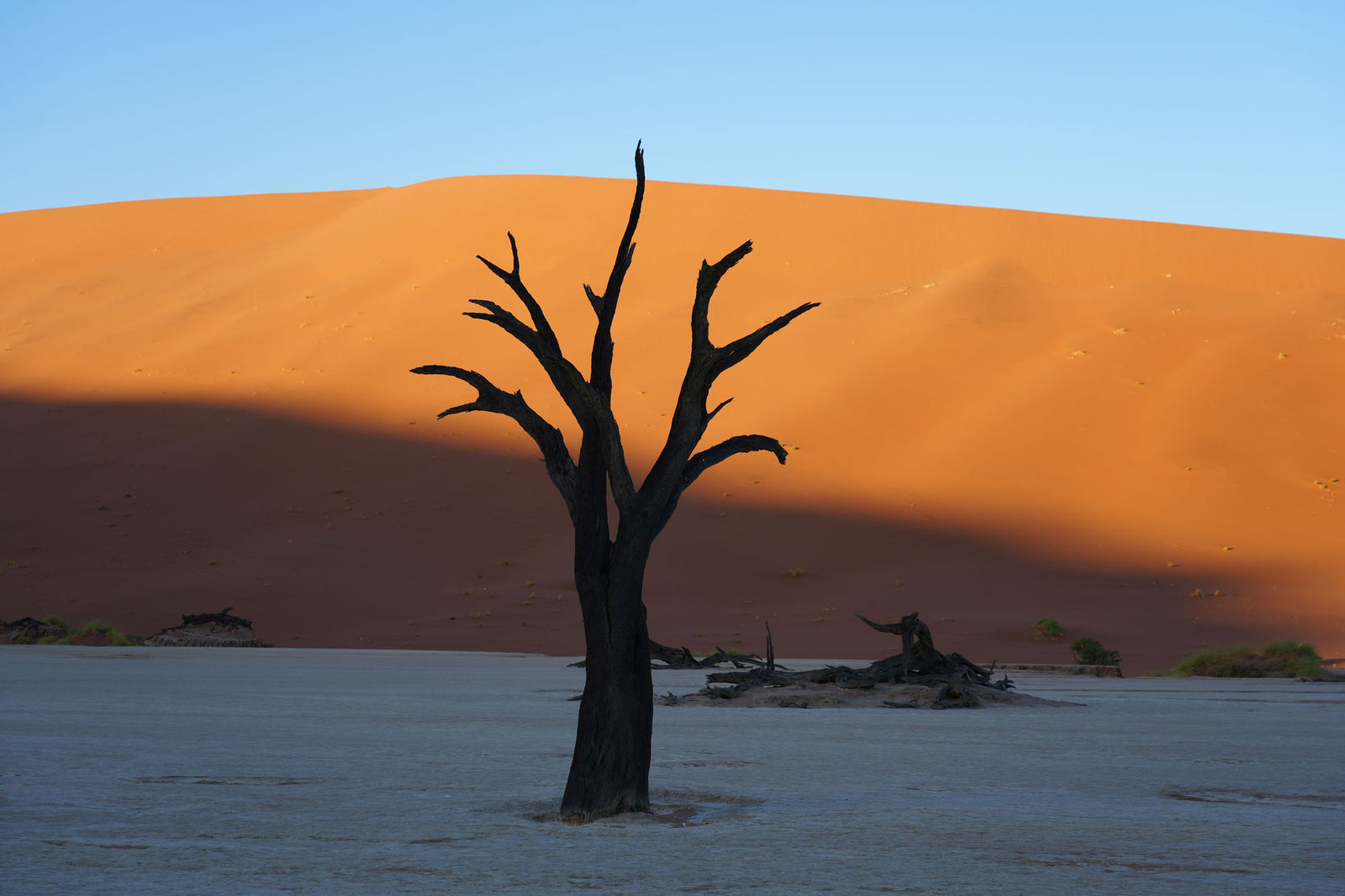 Deadvlei