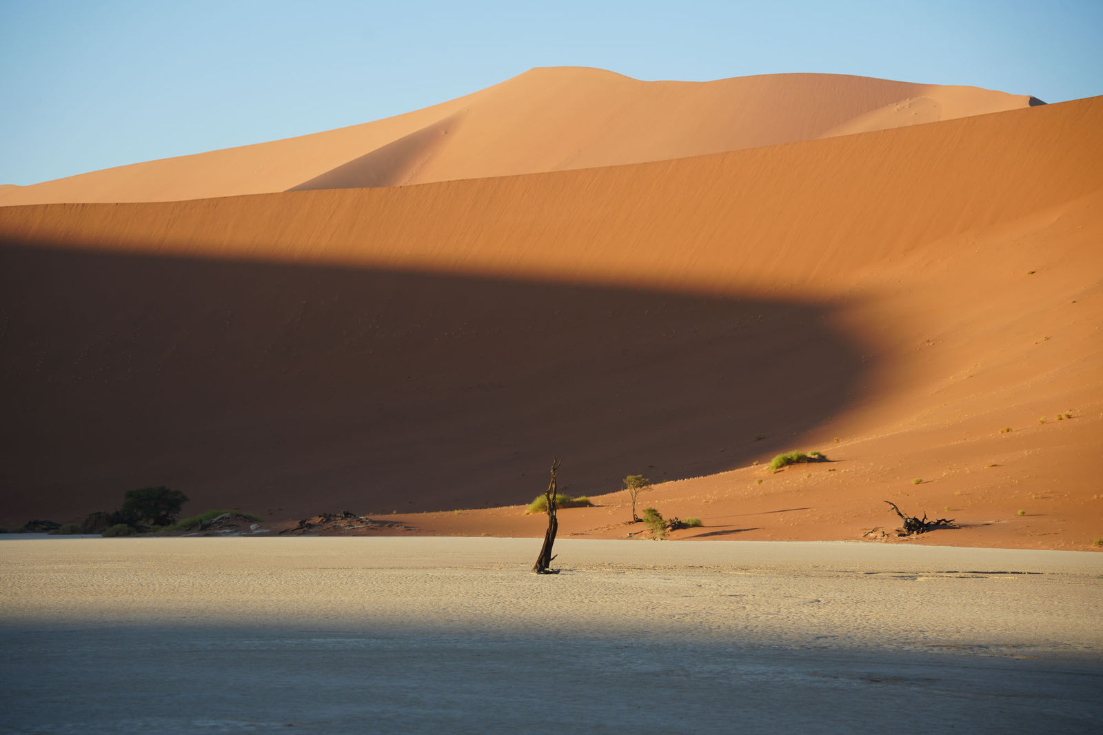 Deadvlei