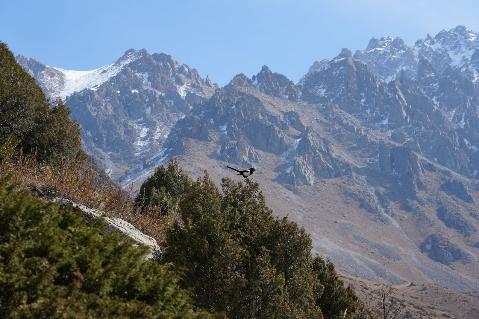Ala Archa National Park
