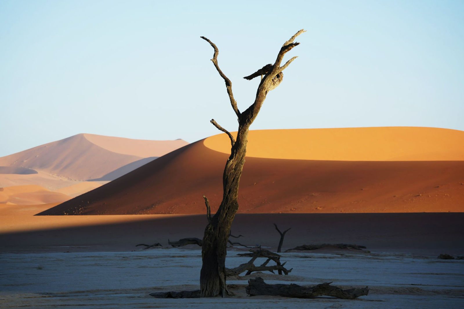 Namib-Naukluft National Park