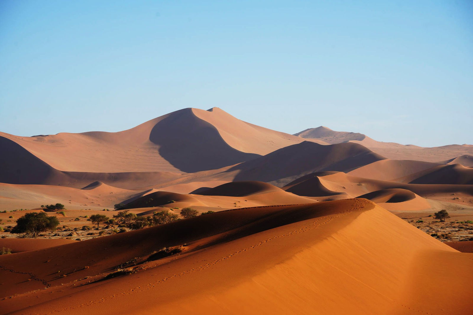Dune