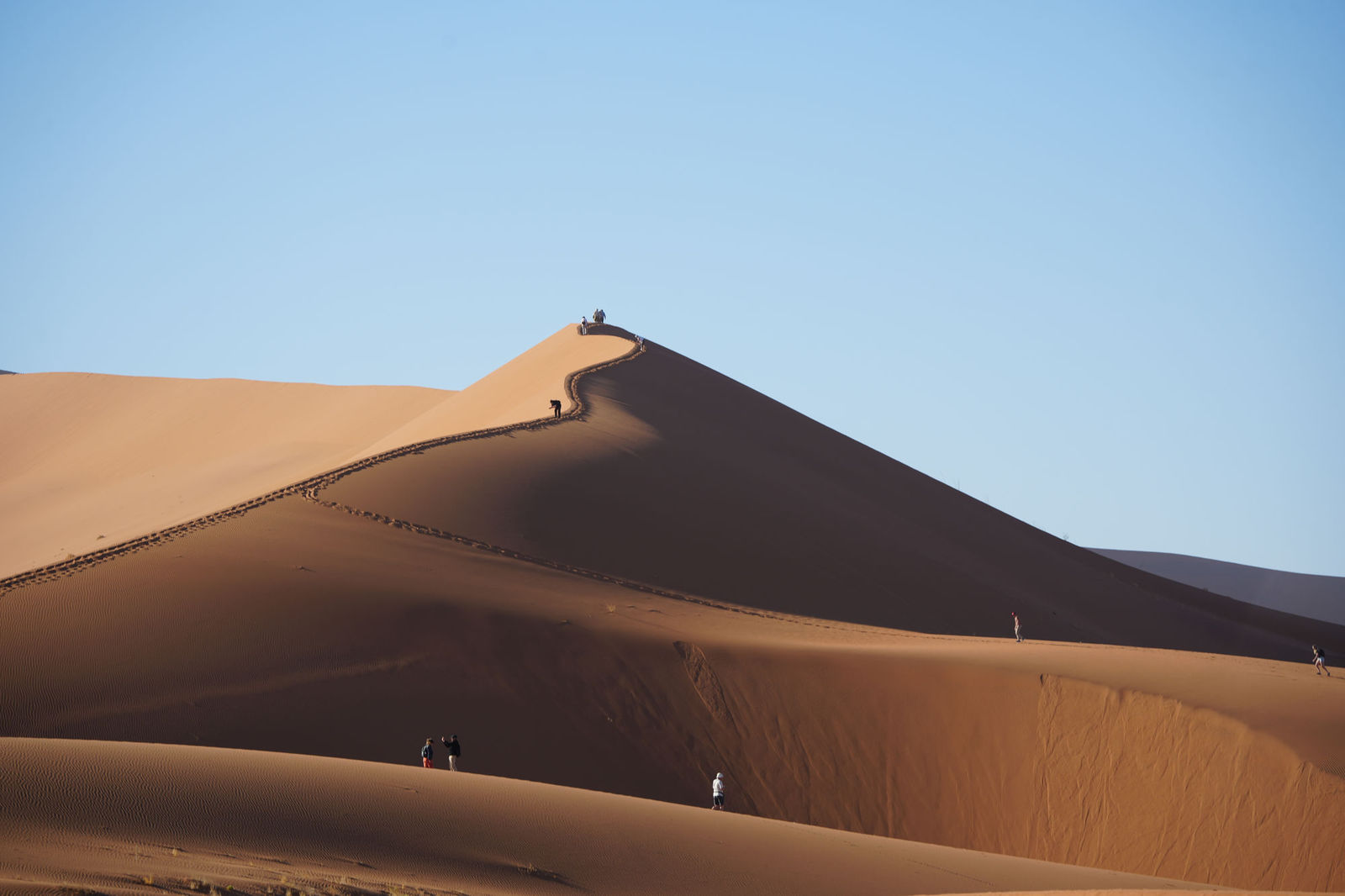 Big Daddy Dune