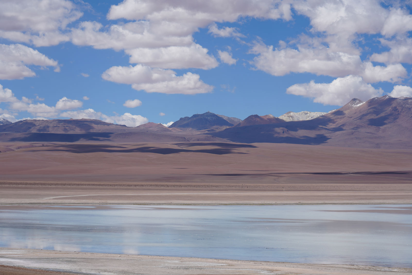 Salar de Pedernales