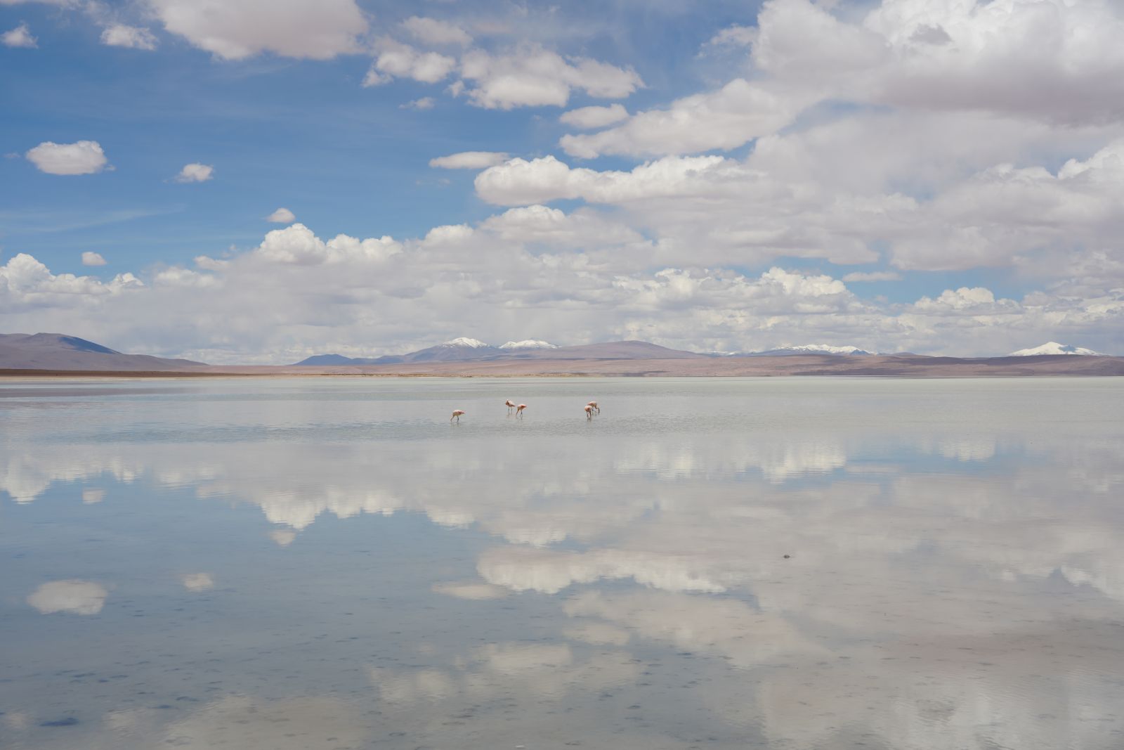Salar de Maricunga