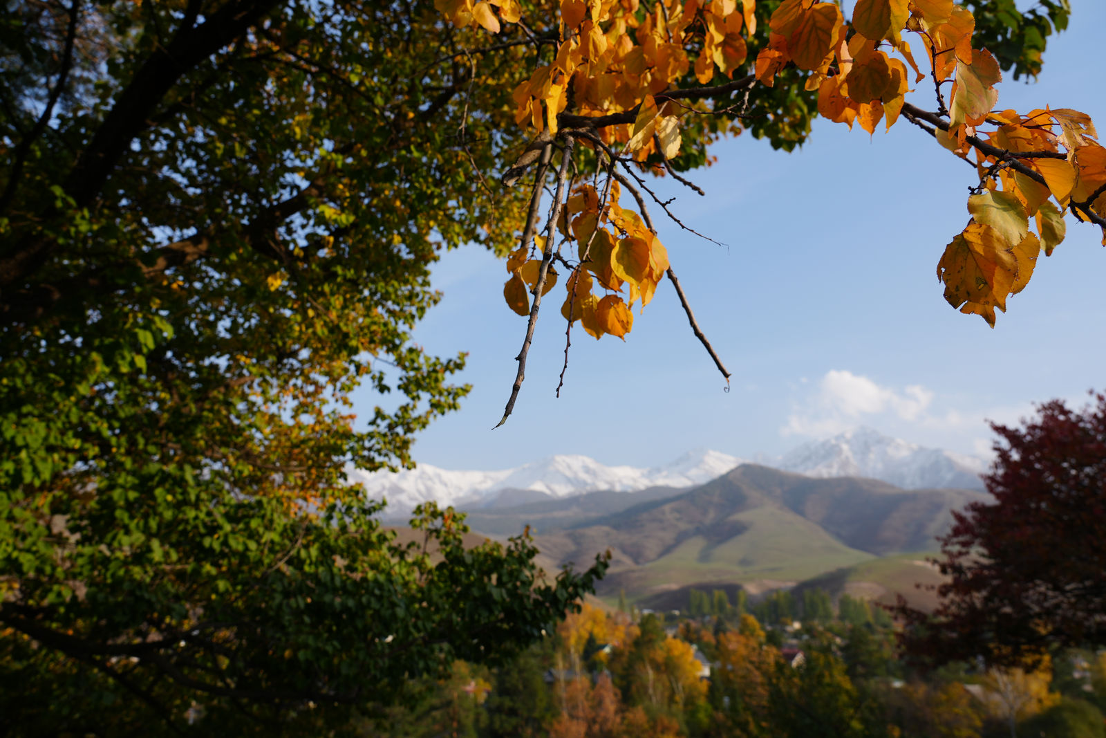 Ala Archa National Park
