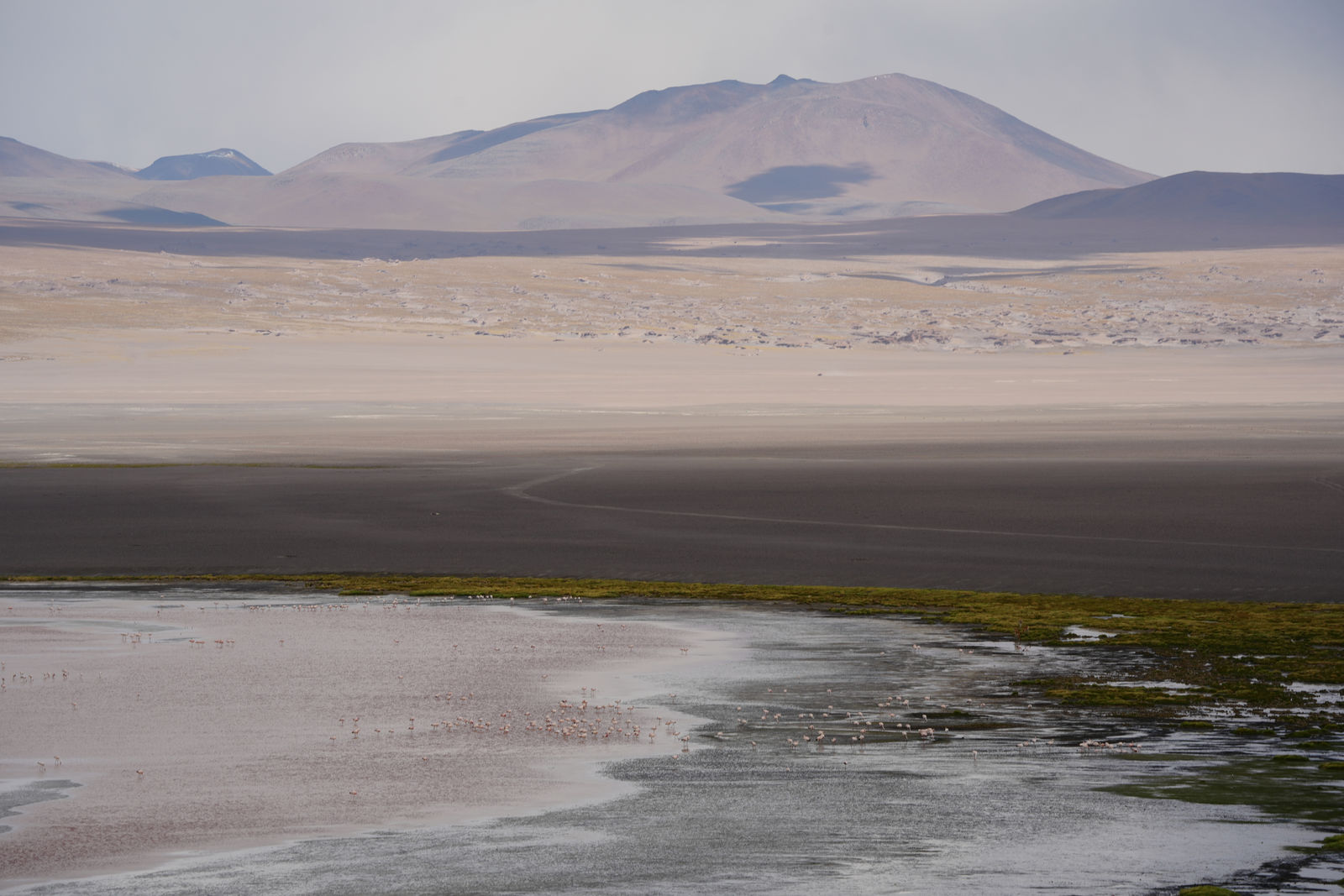 Salar de Pedernales