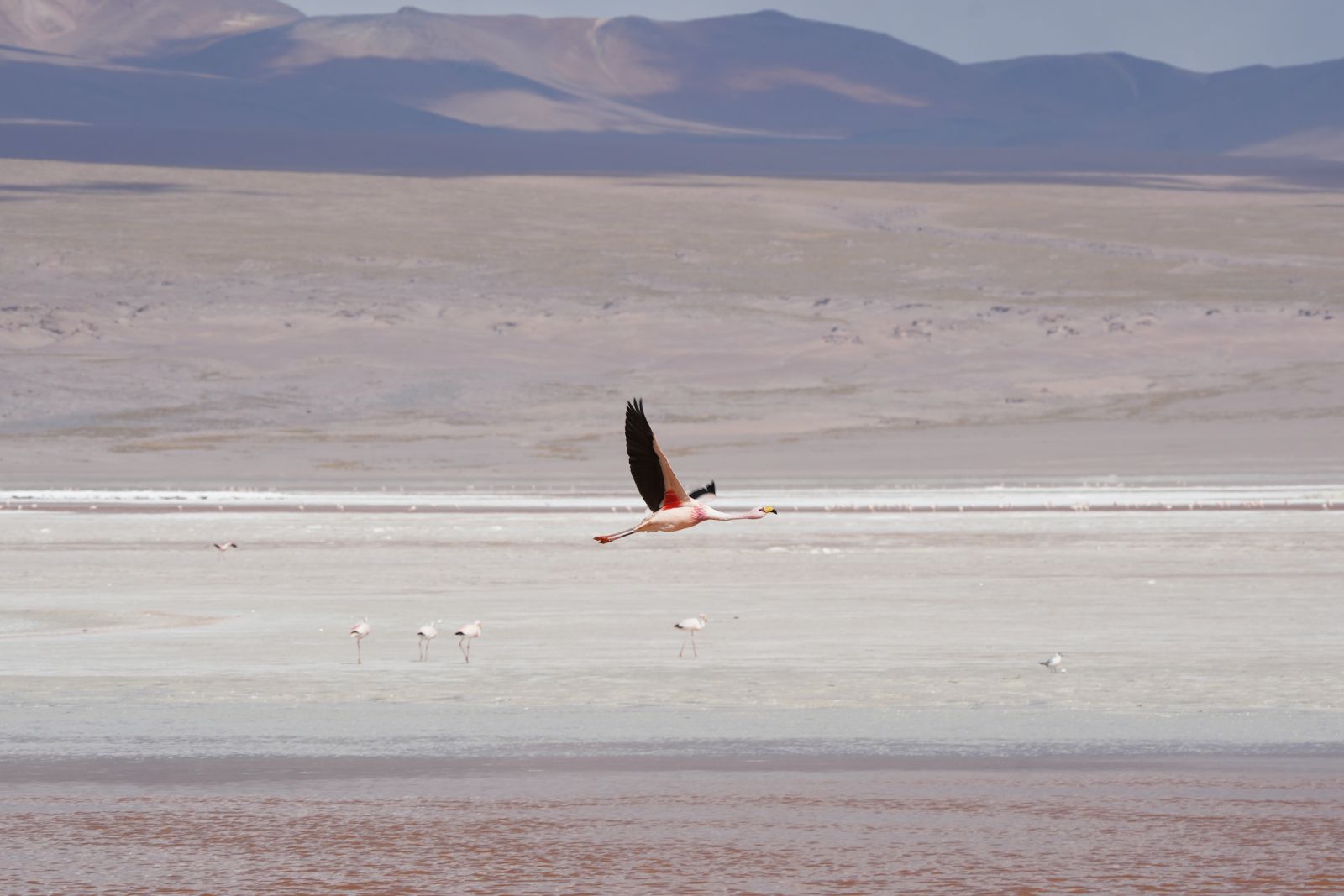 Atacama to Uyuni