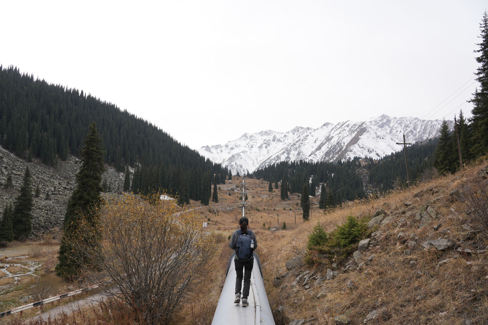 Road to the Lake