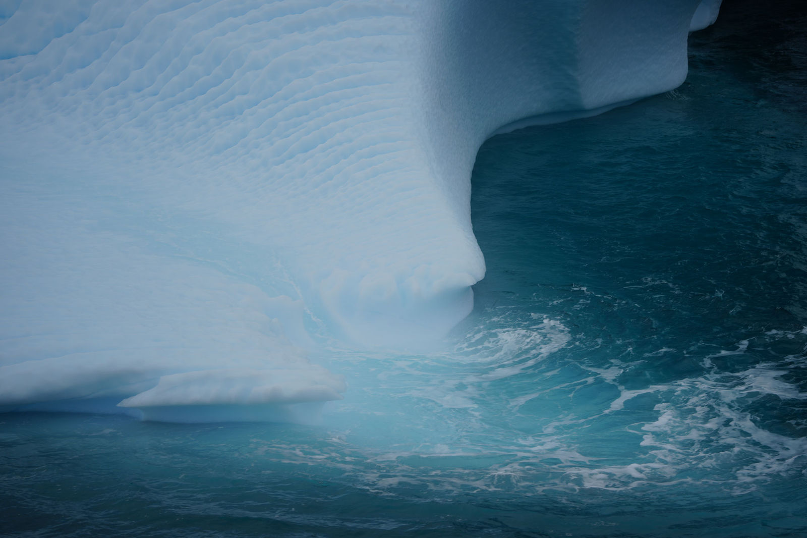 Iceberg