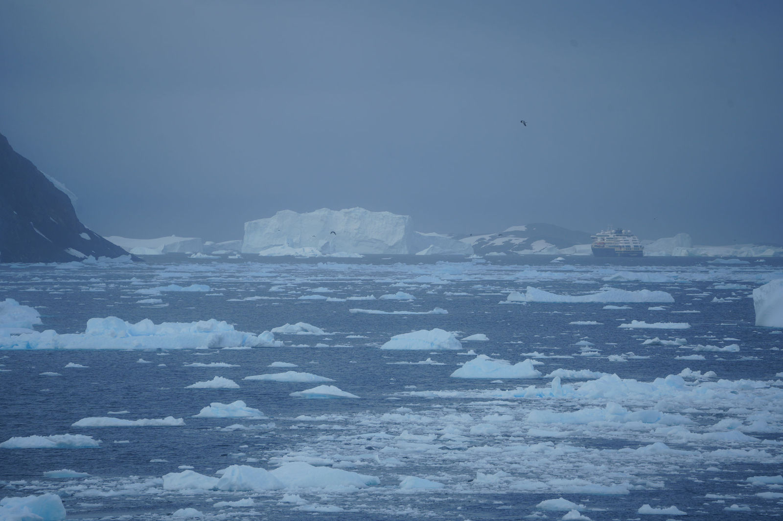 Drift Ice
