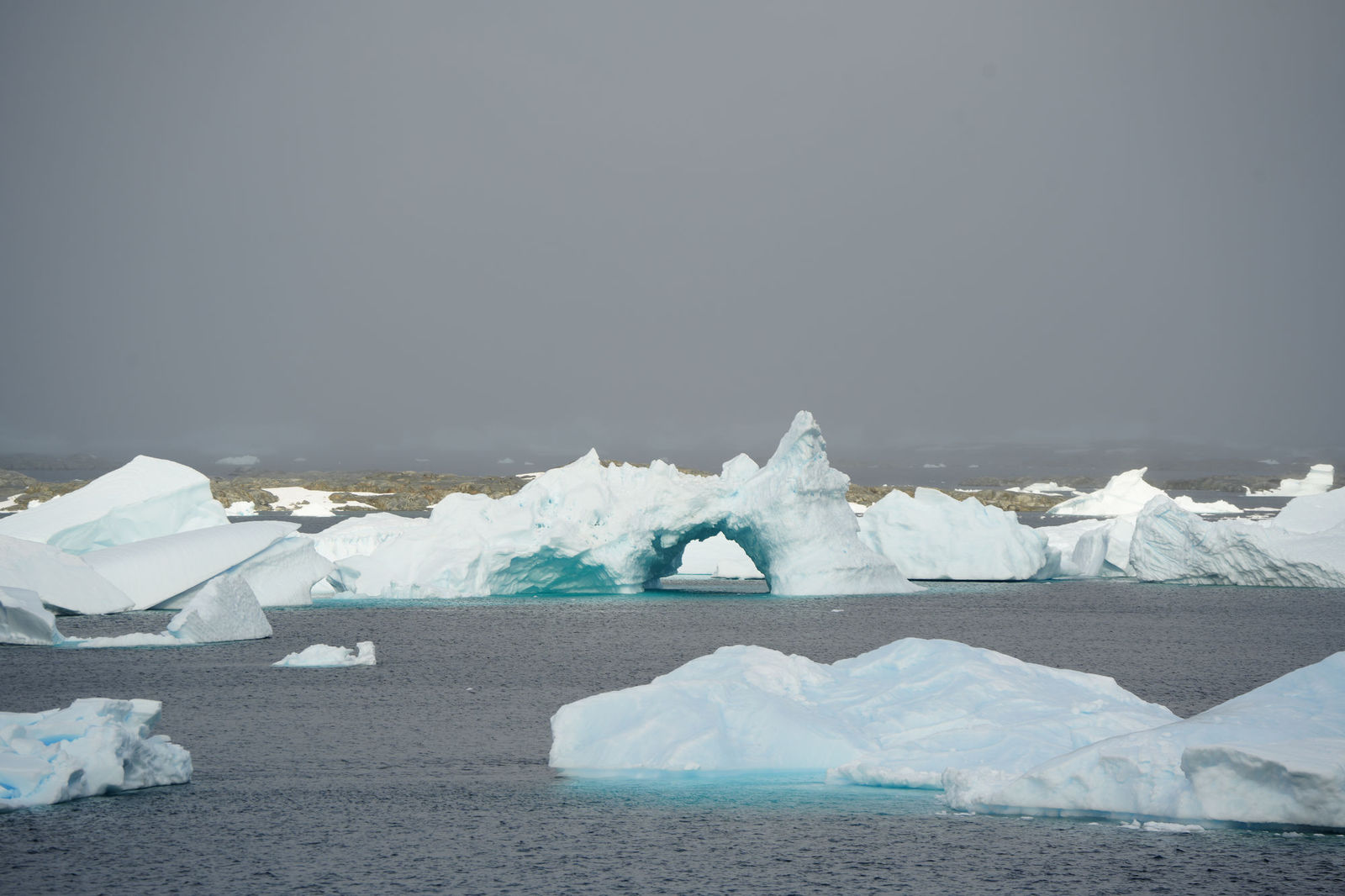 Iceberg