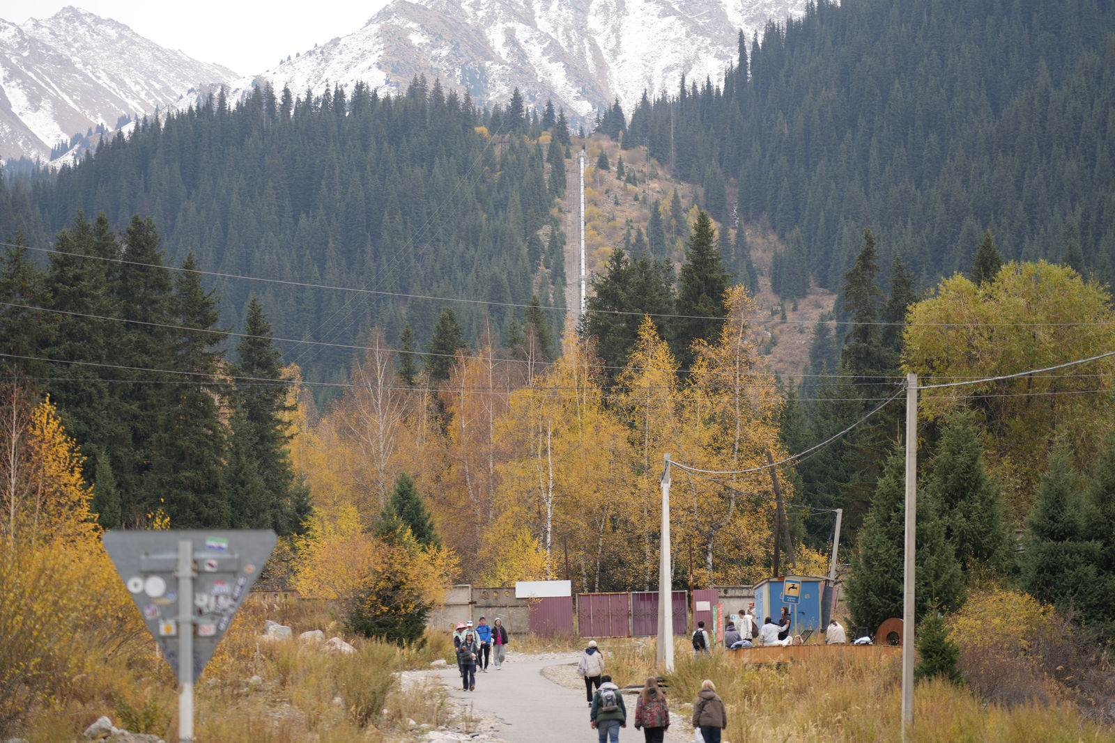 Road to the Lake