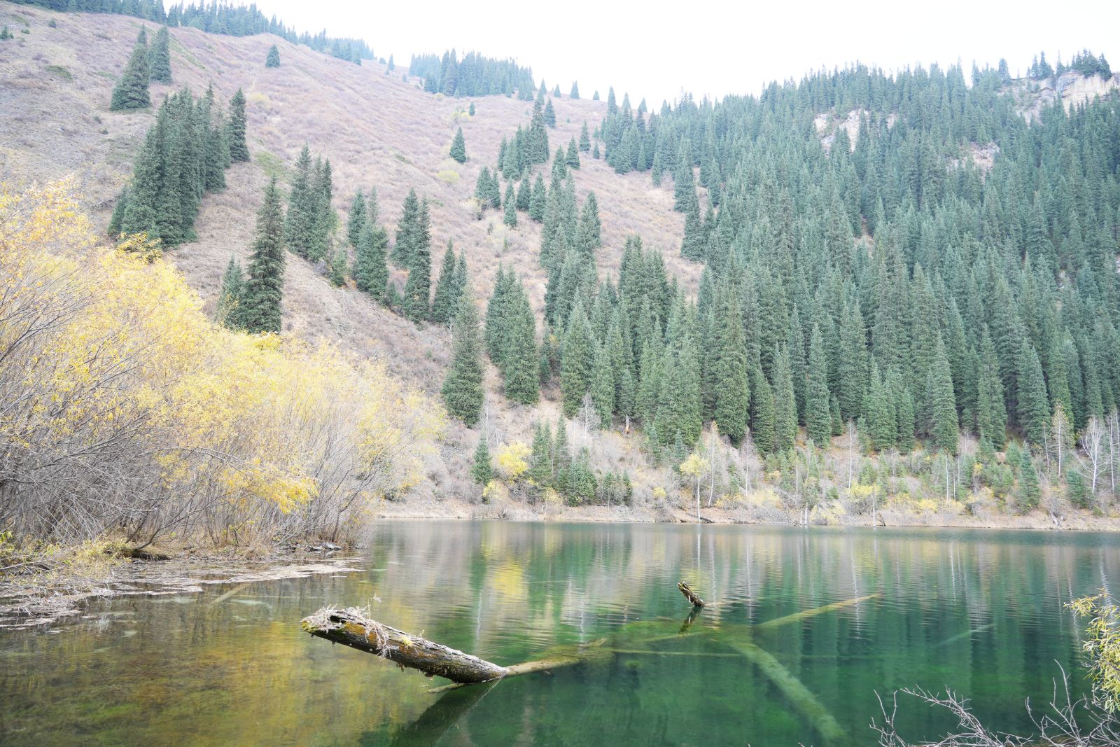 Kaindy Lake