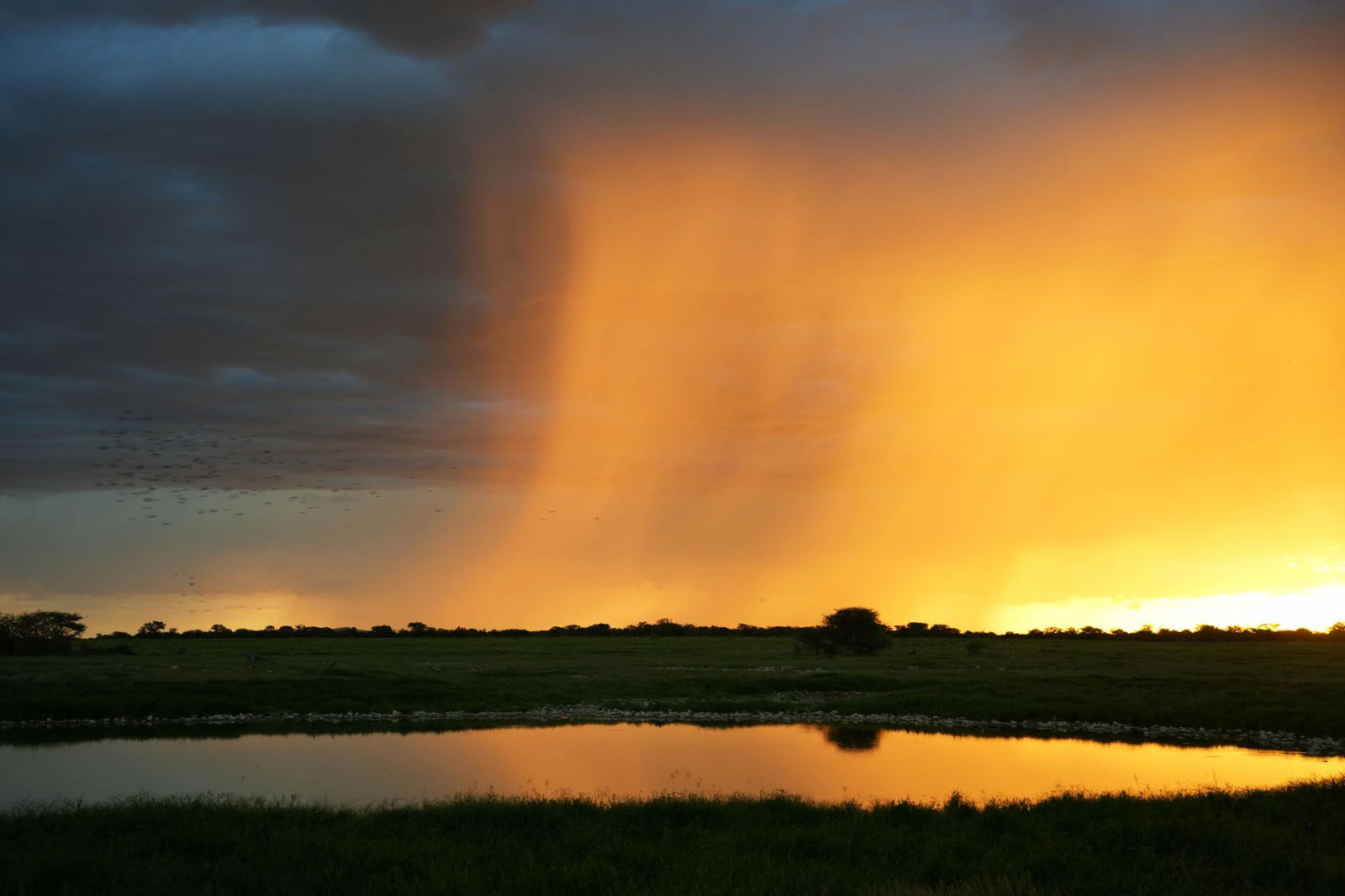 Sun Shower