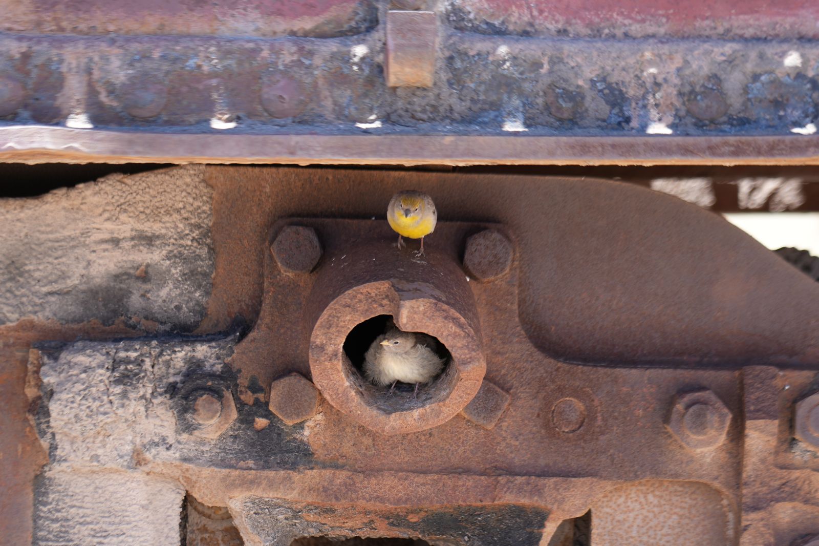 Train Cemetery