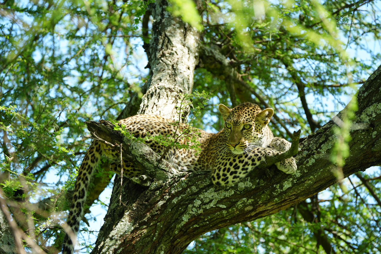 Tarangire National Park