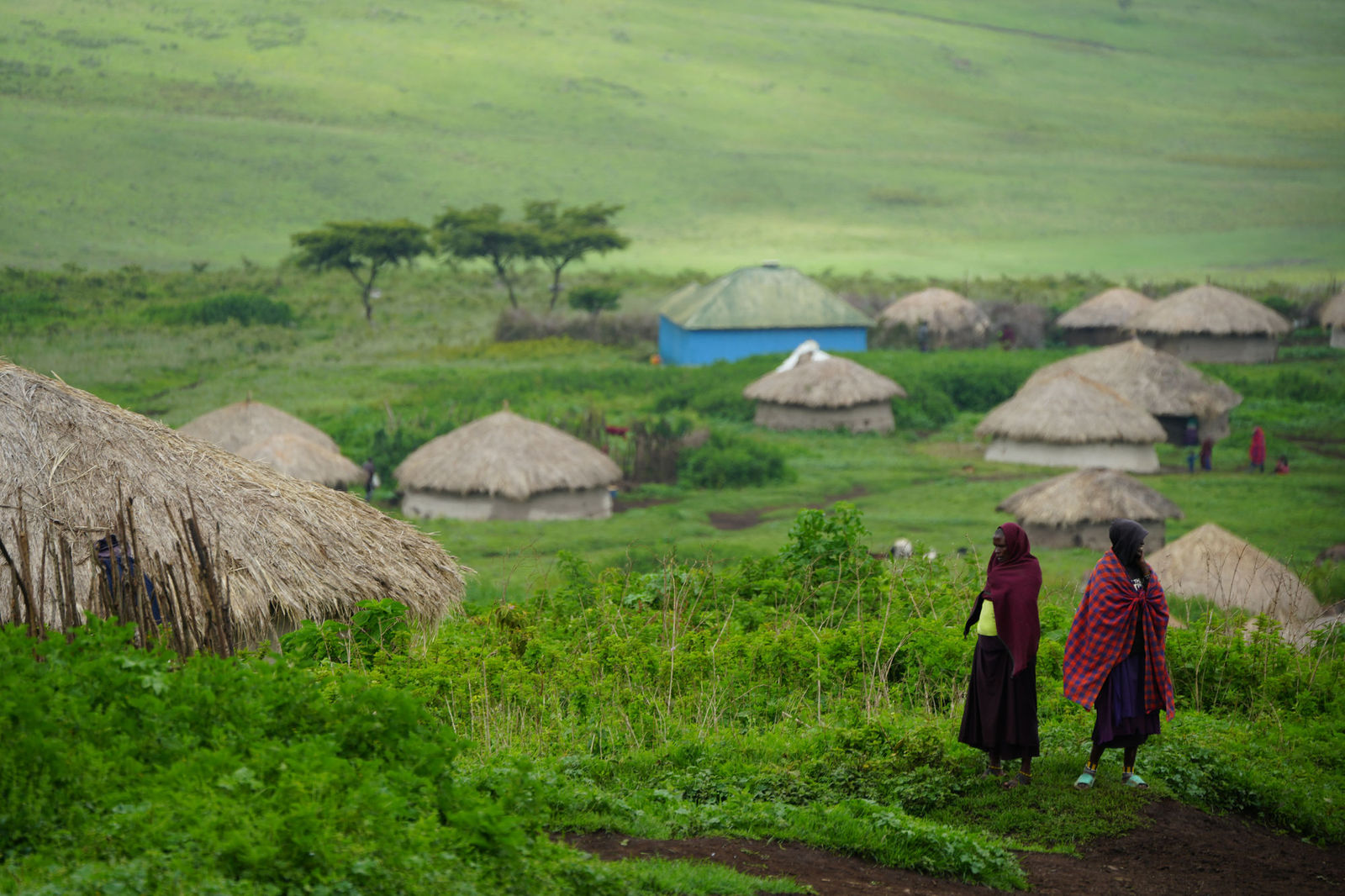 Serengeti National Park