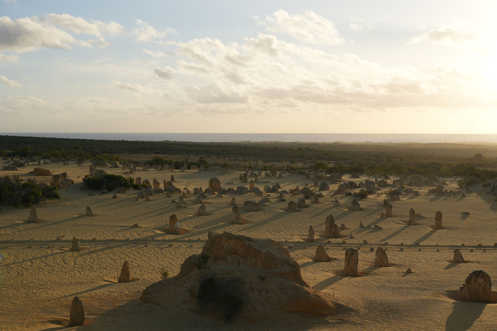 The Pinnacles Desert