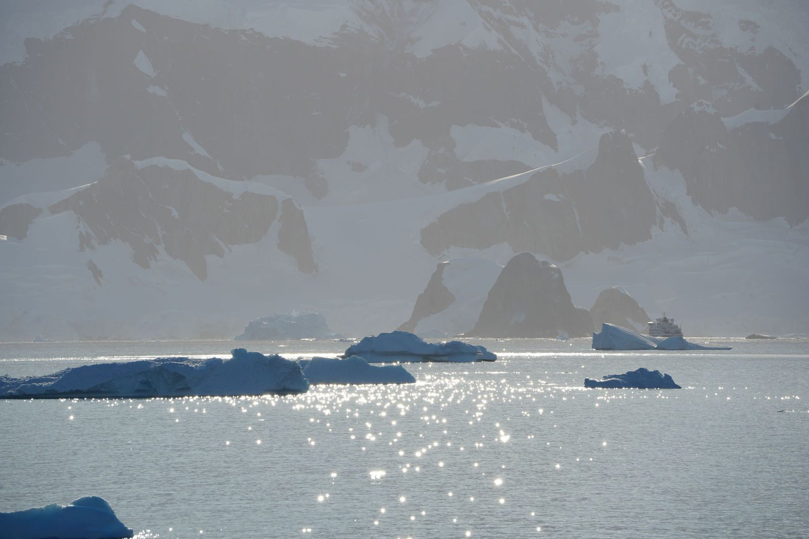 Iceberg