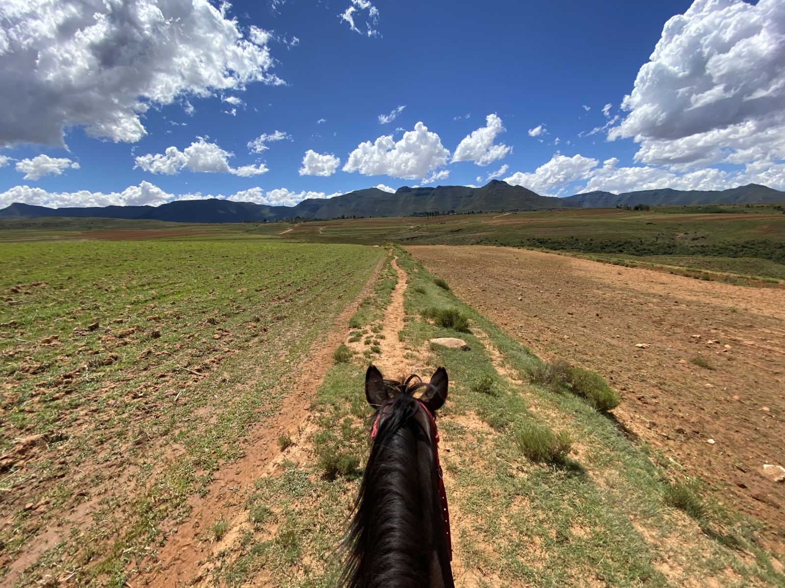 Pony Trekking