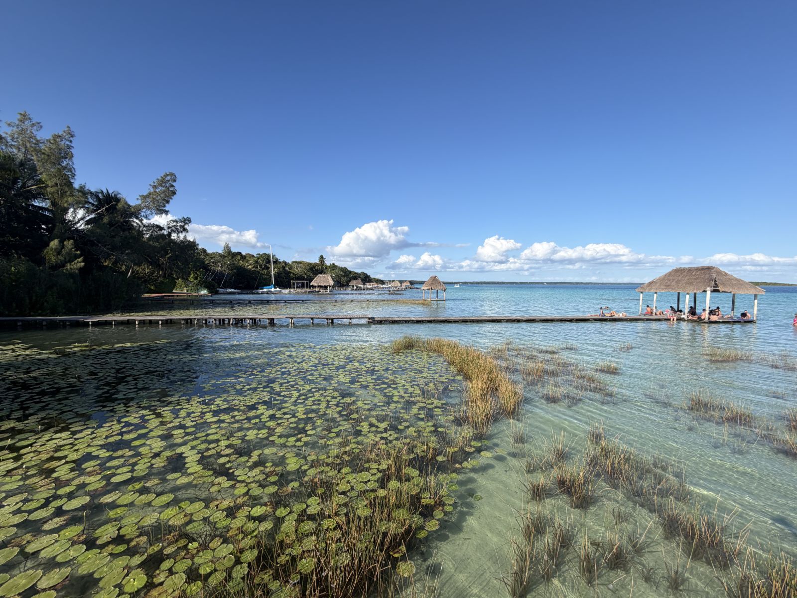 Bacalar