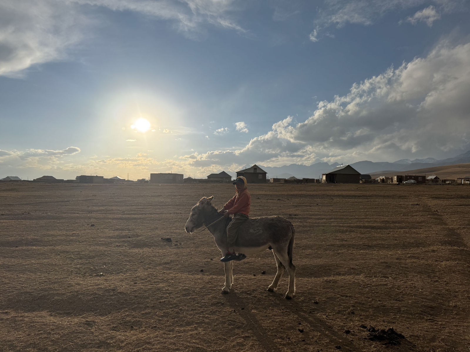 Donkey Rider