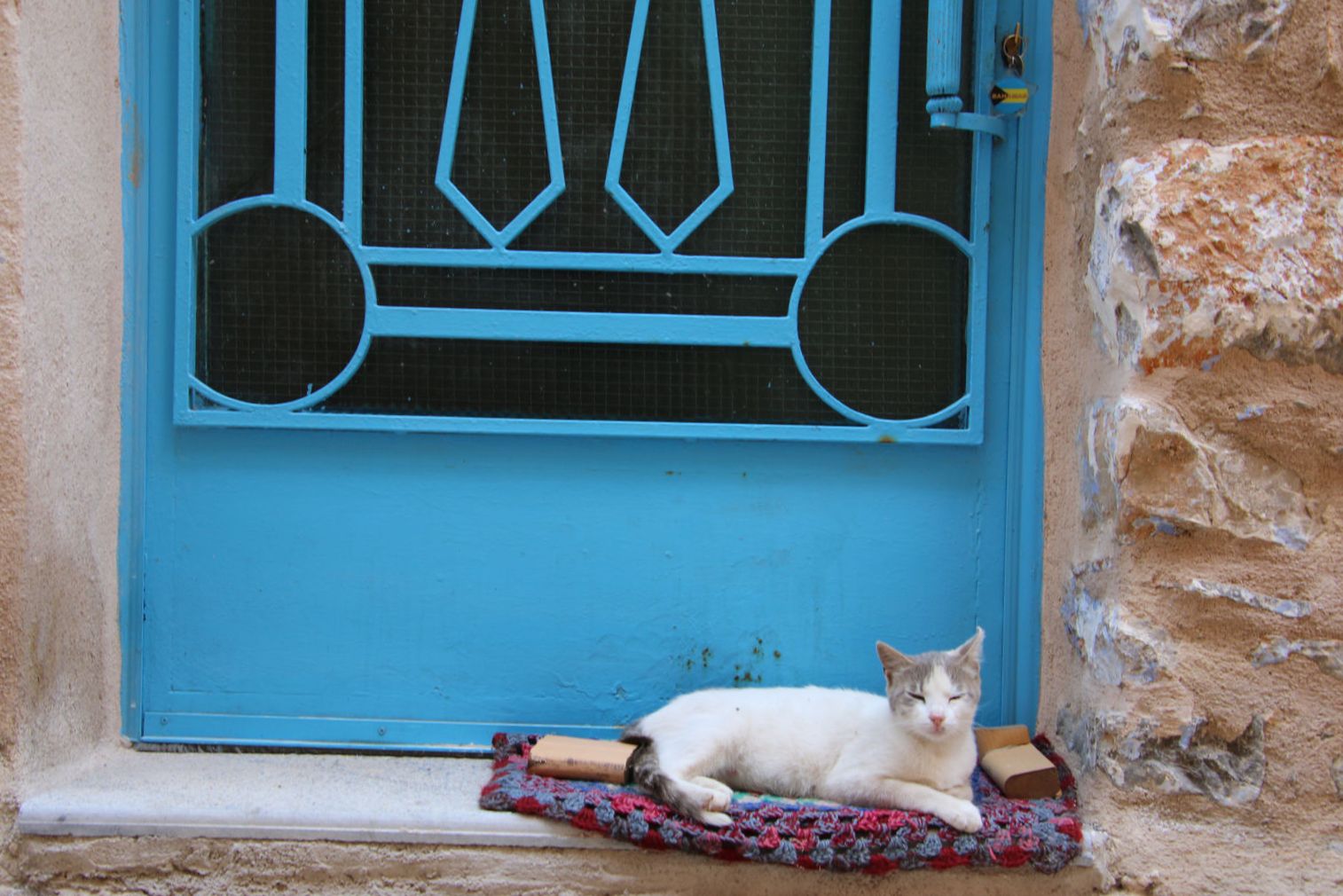 Blue door and a local cat in Mesta Chios