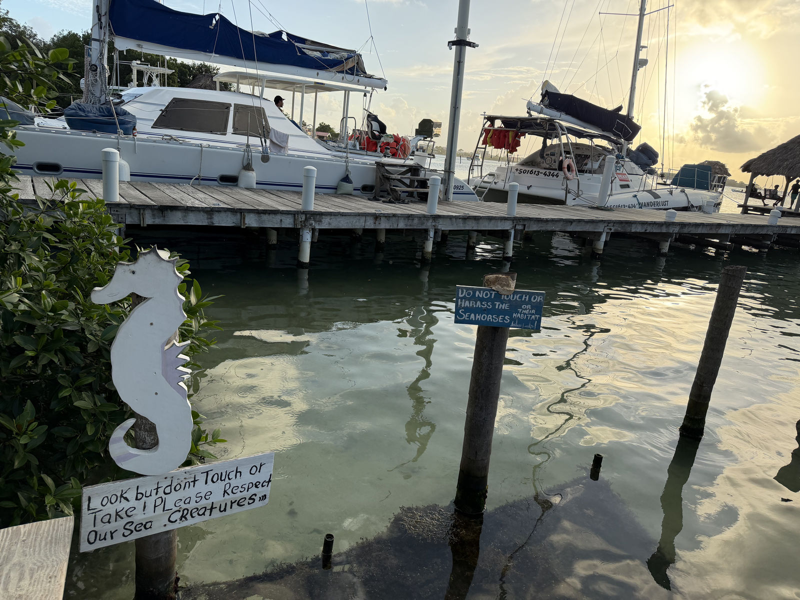 Seahorse Reserve