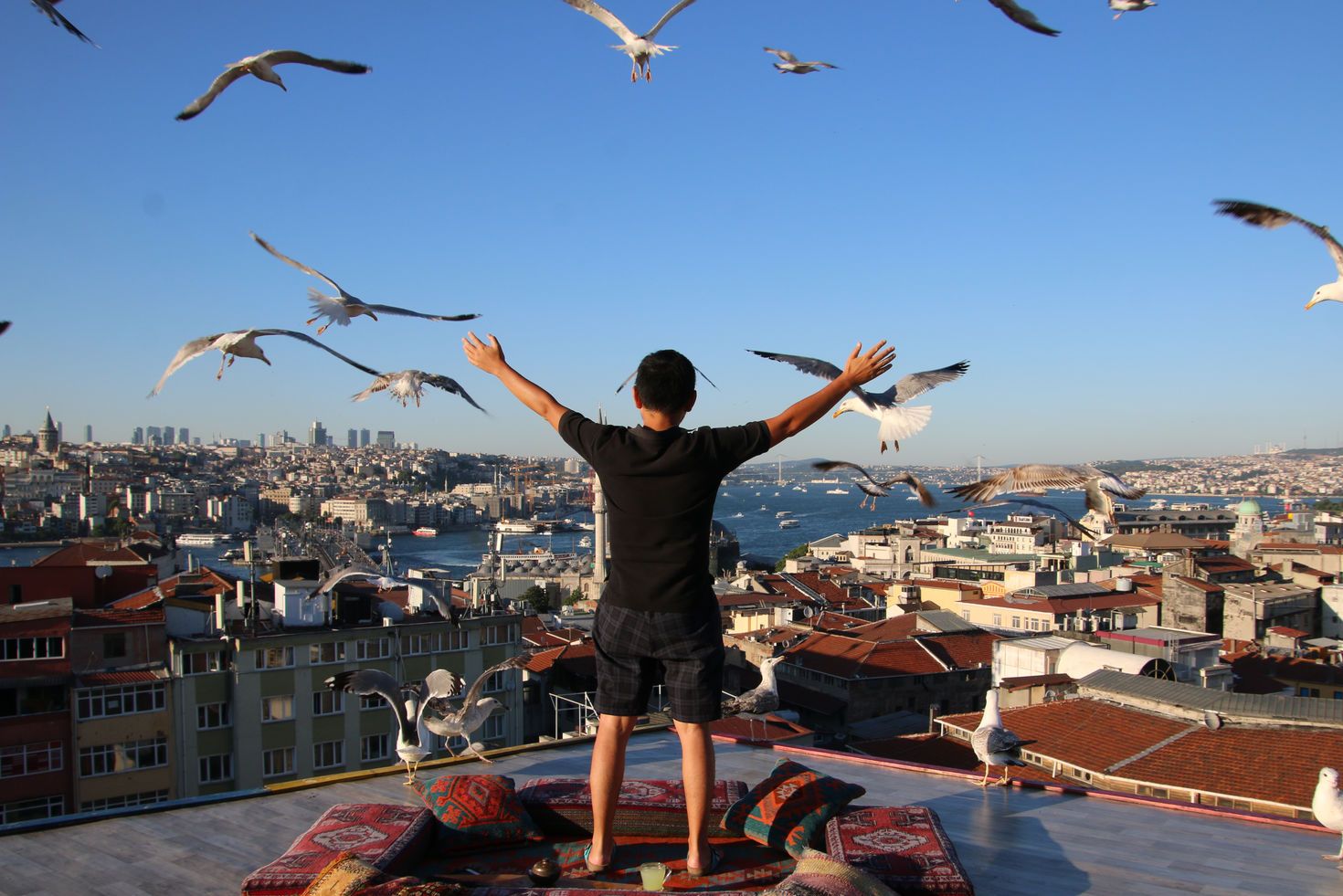 Flying with the Seagulls