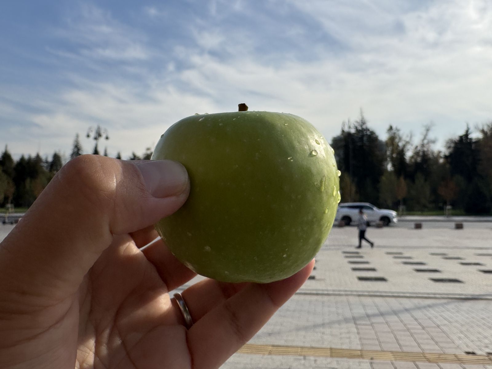 Apple City