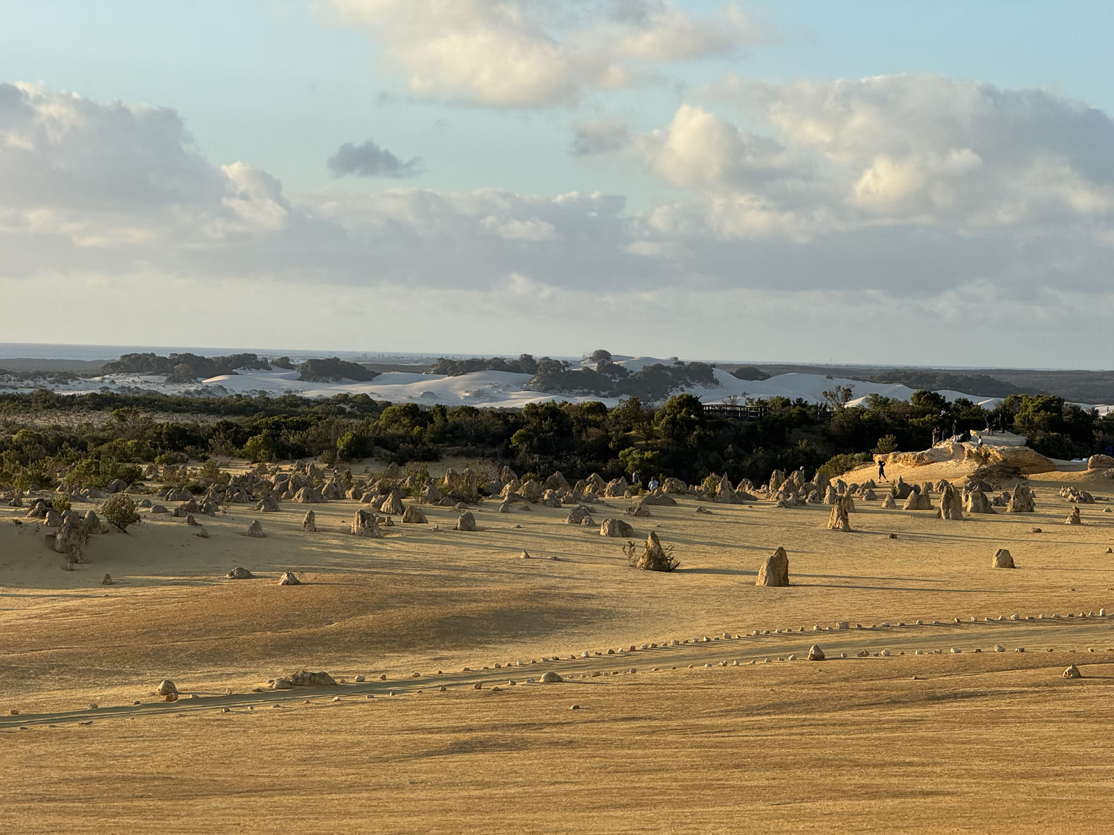 The Pinnacles Desert