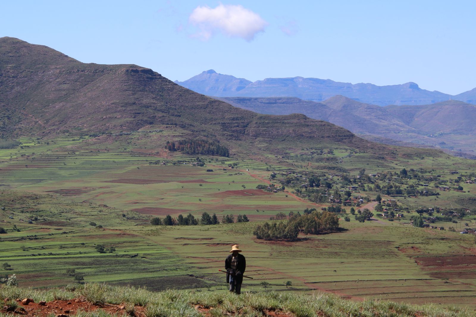 A Herder In The Valley