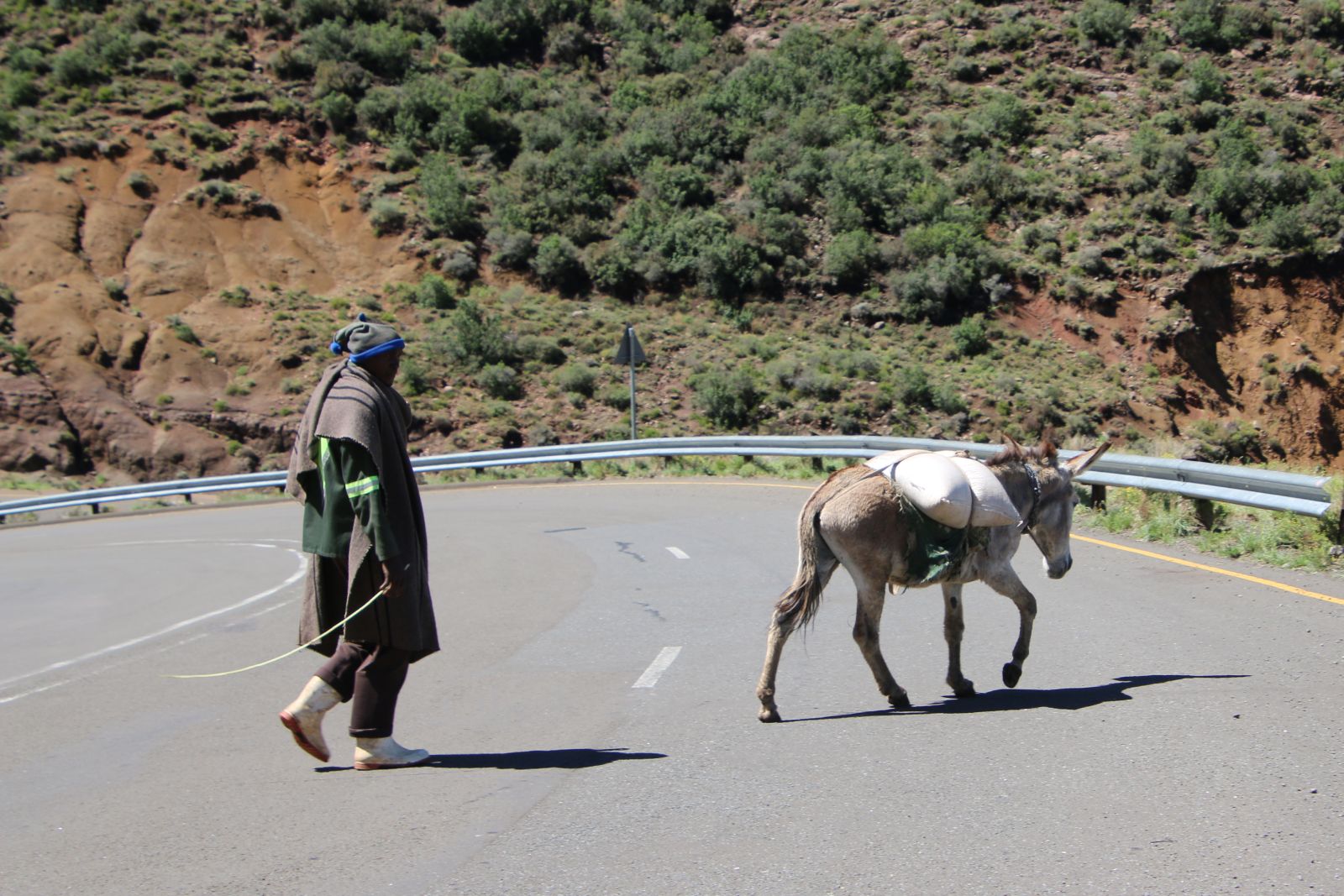 A Herder And A Donkey