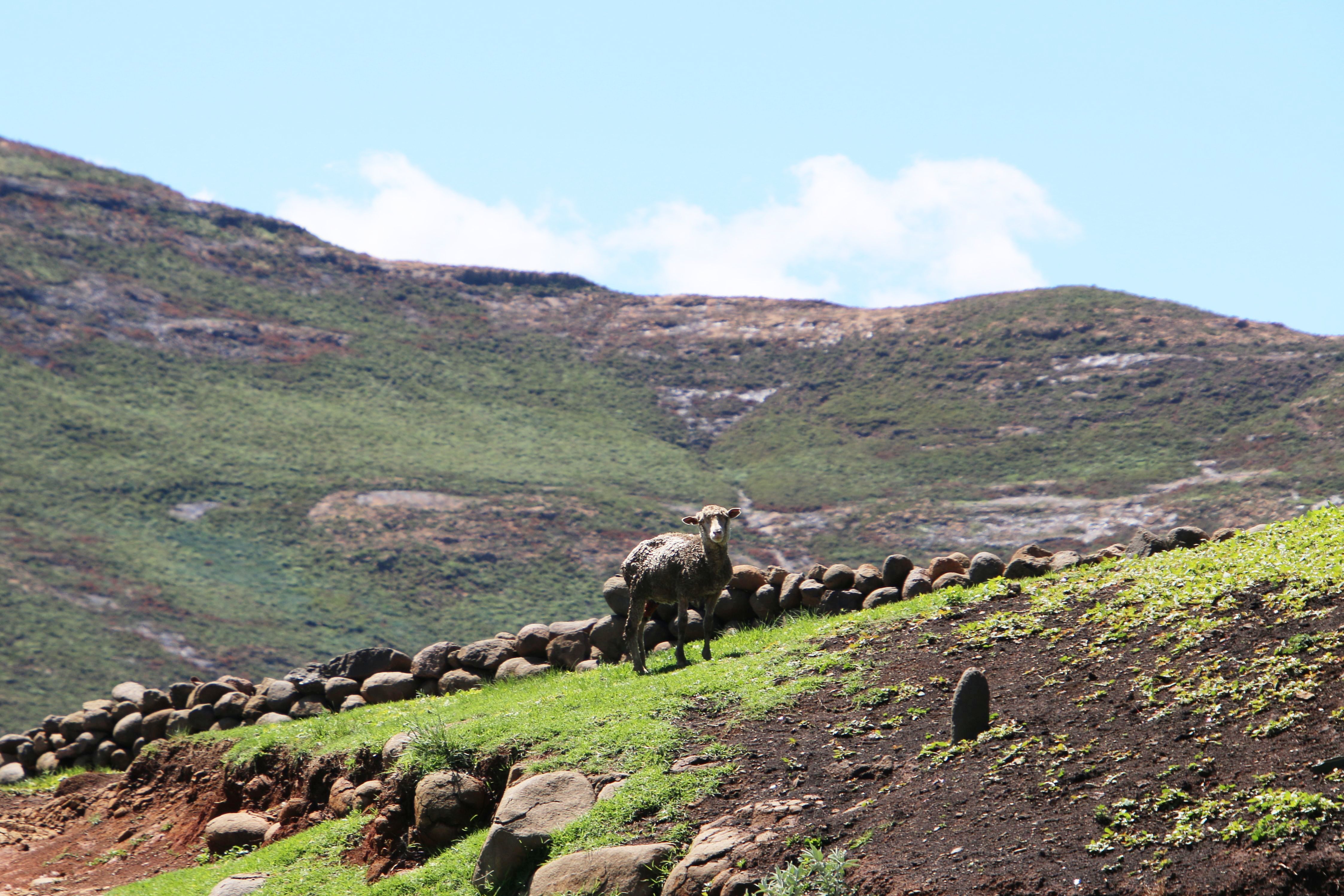 Semonkong – Malealea Road Trip