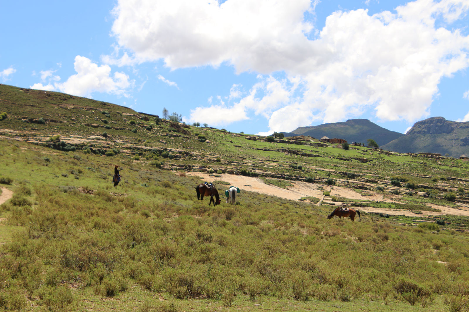 Malealea